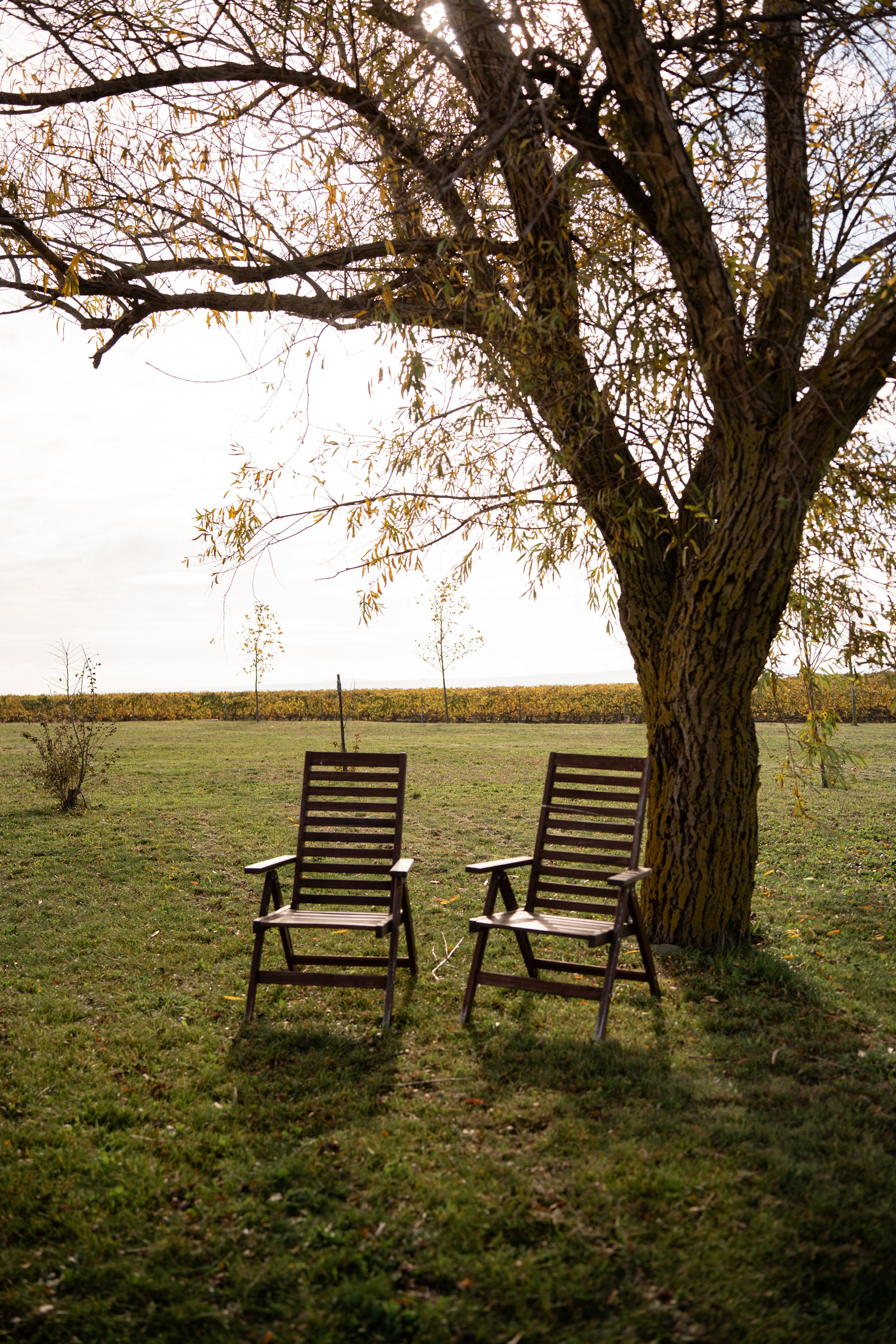 Ярослав и Полина. Карпенко Марина свадебный и семейный фотограф Анапа, Краснодар, Геленджик, Сочи, Темрюк