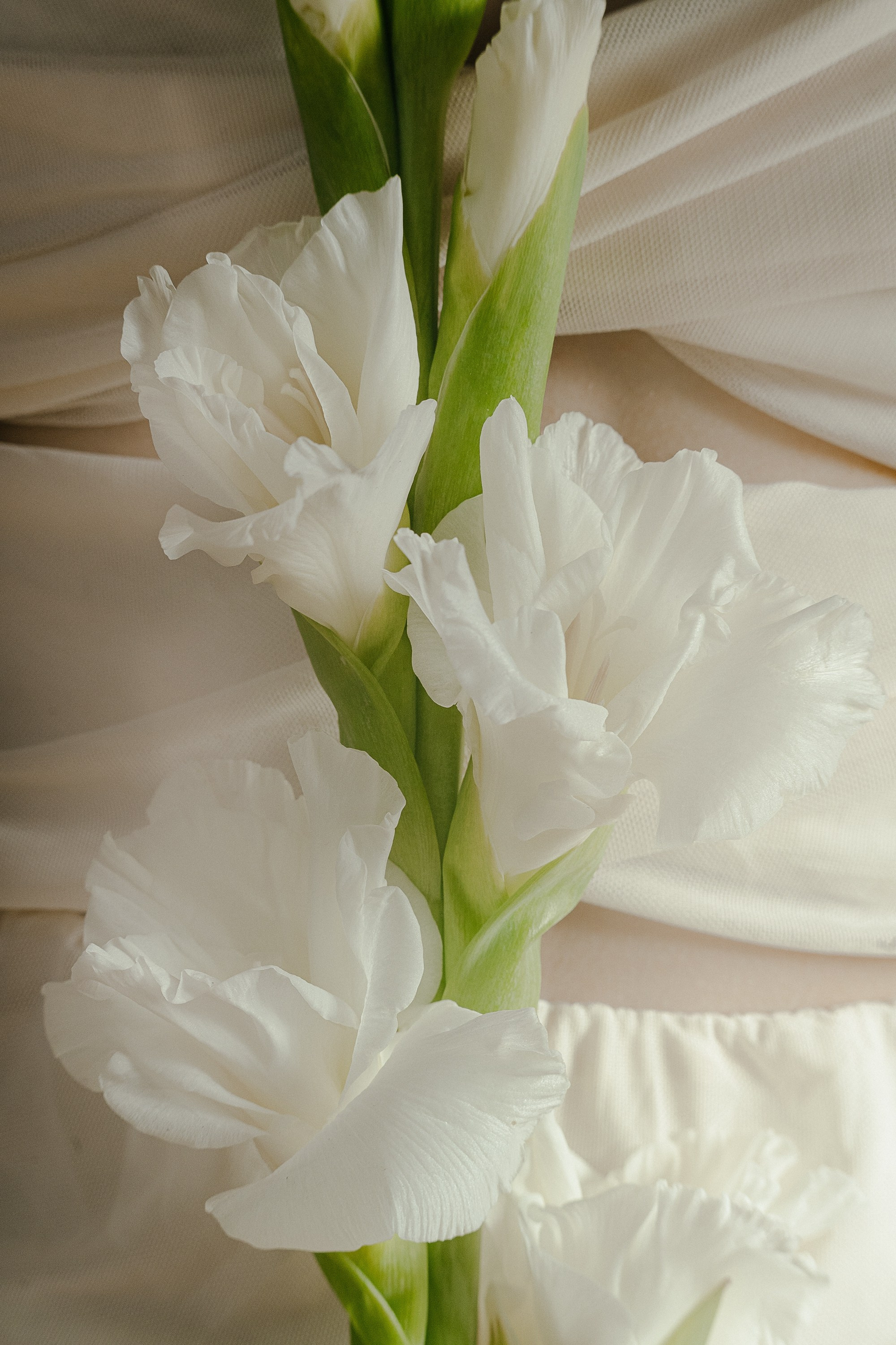 Настя. Фотограф Ирина Романова