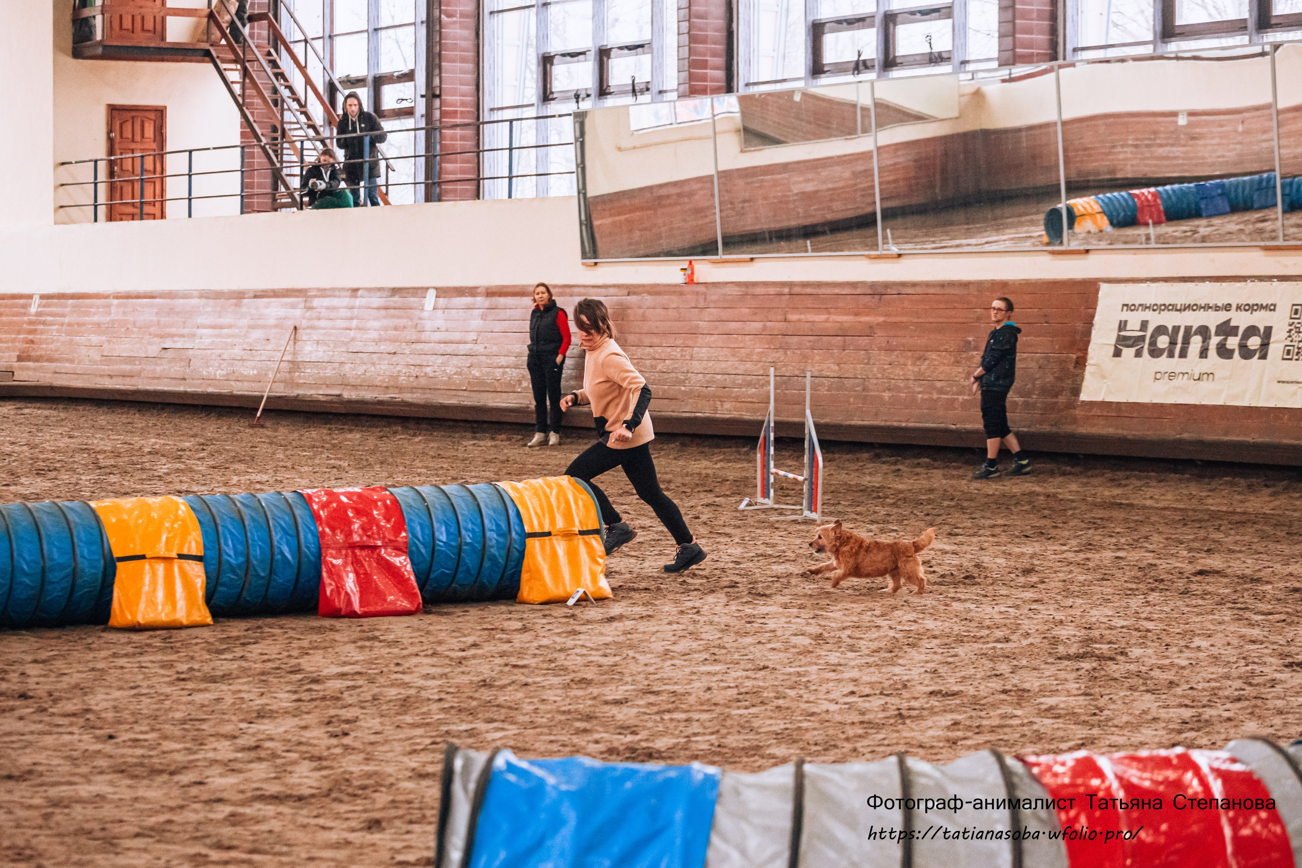 Соревнования по Аджилити 25.02.2024. Фотограф-анималист Татьяна Степанова
