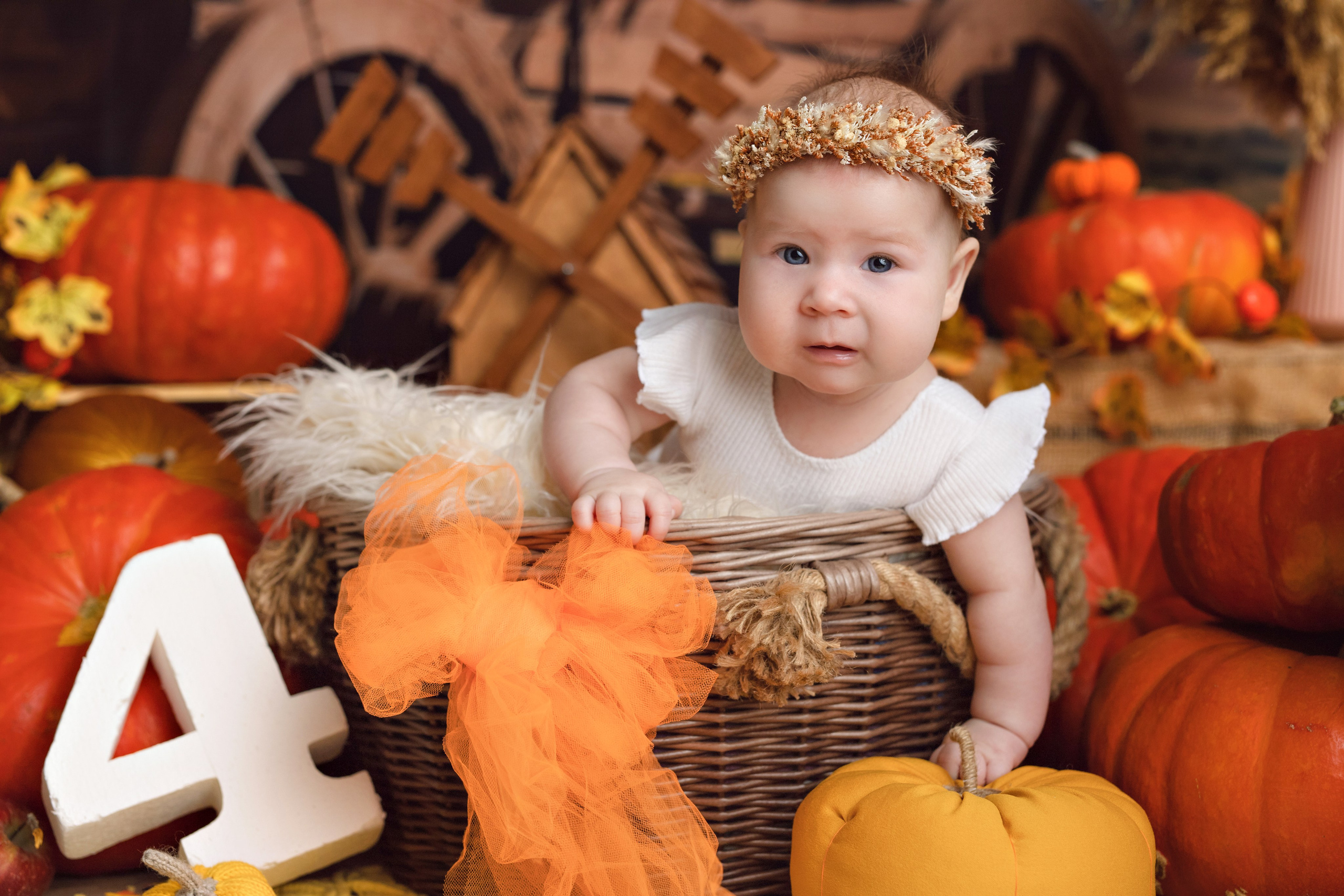 Тыквы. Фотограф Болотова Иветта