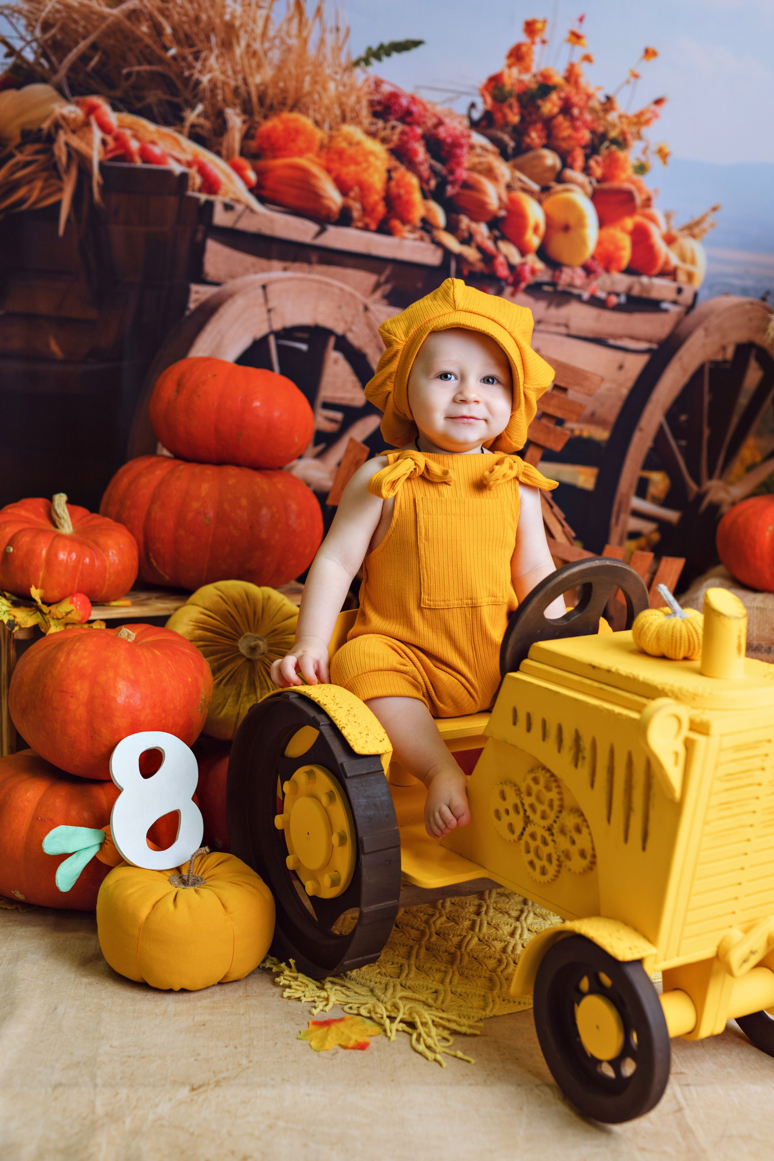 Тыквы. Фотограф Болотова Иветта