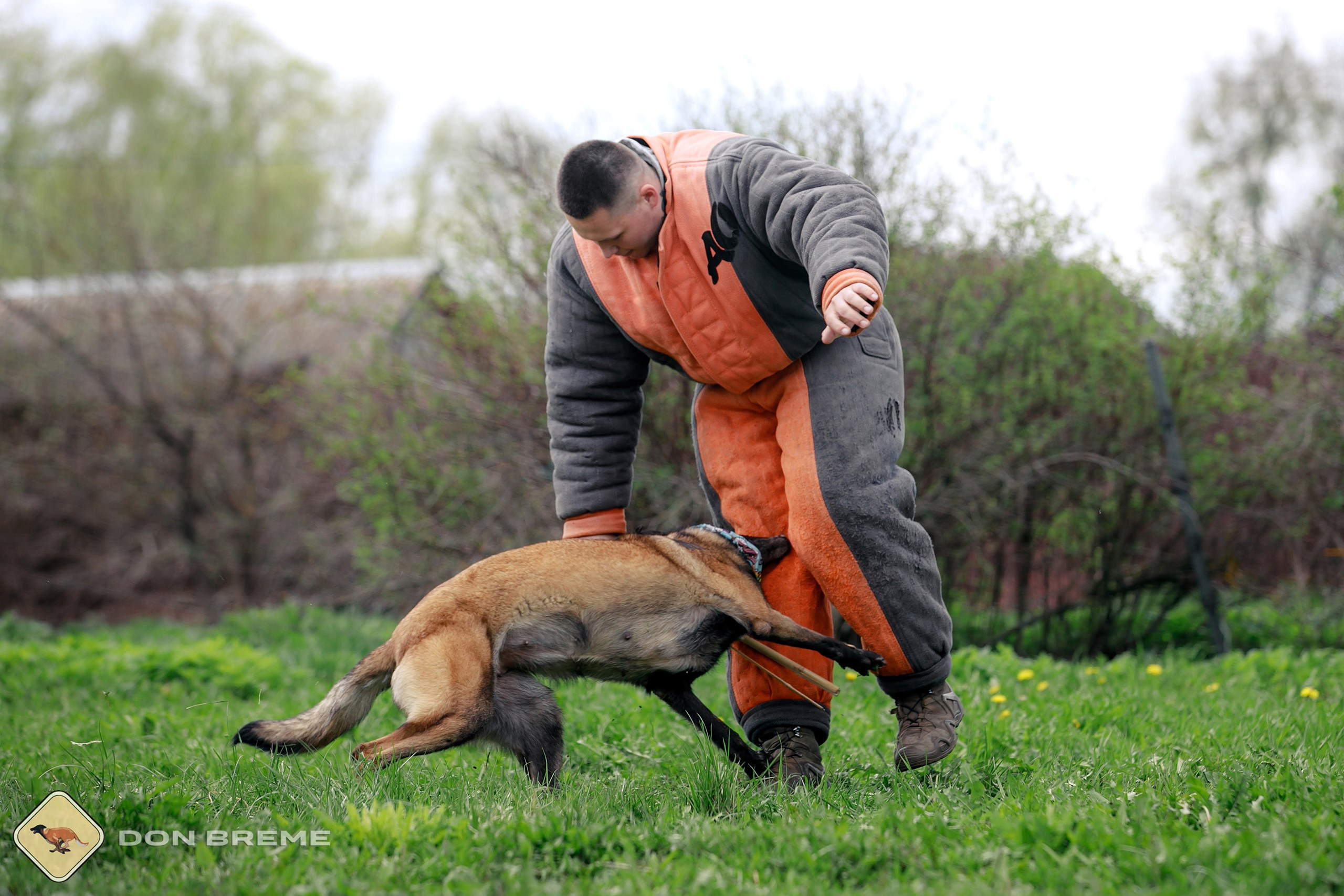 Семинар для фигурантов, день 2. Фотограф-анималист Mary Mart — Москва, Питер