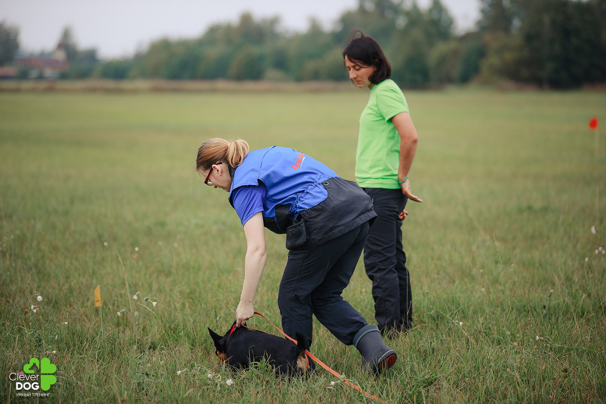 Кинологический лагерь CleverDog, 2024. Фотограф-анималист Mary Mart — Москва, Питер