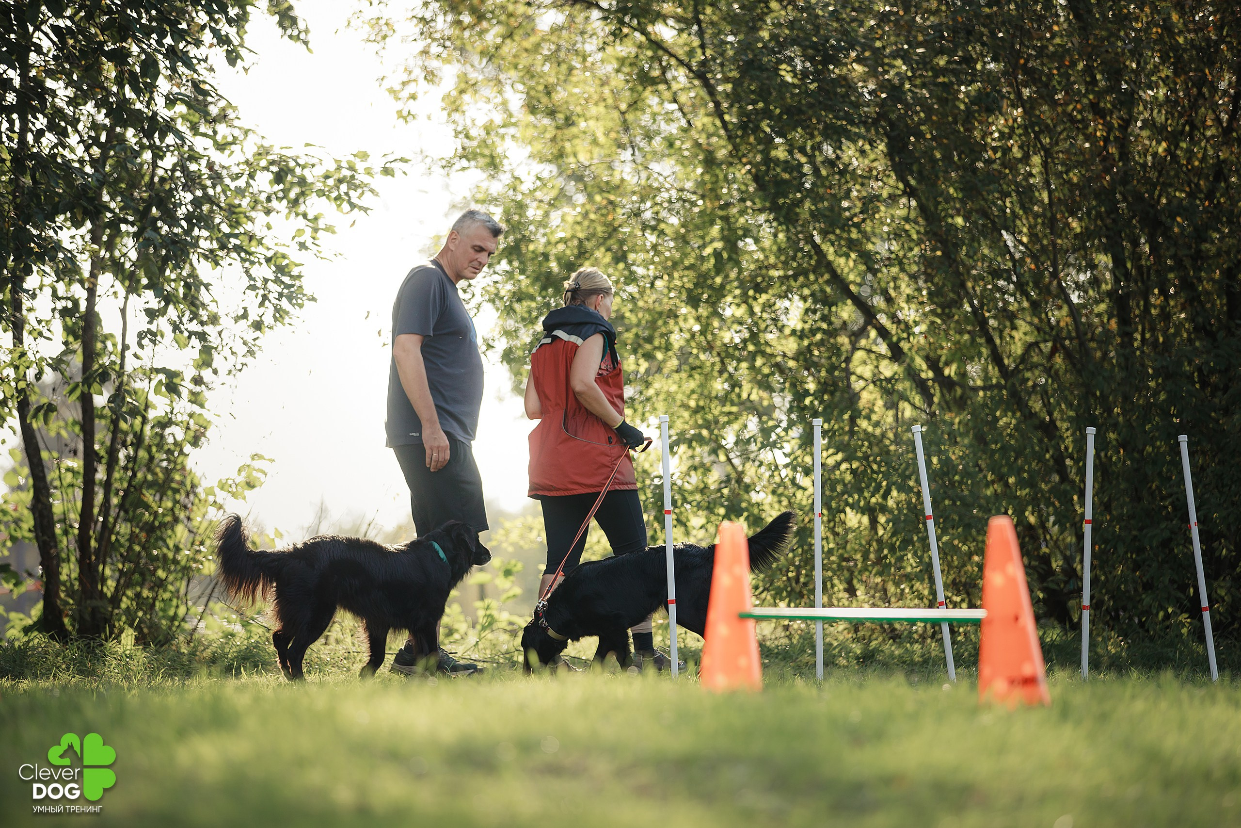 Кинологический лагерь CleverDog, 2024. Фотограф-анималист Mary Mart — Москва, Питер