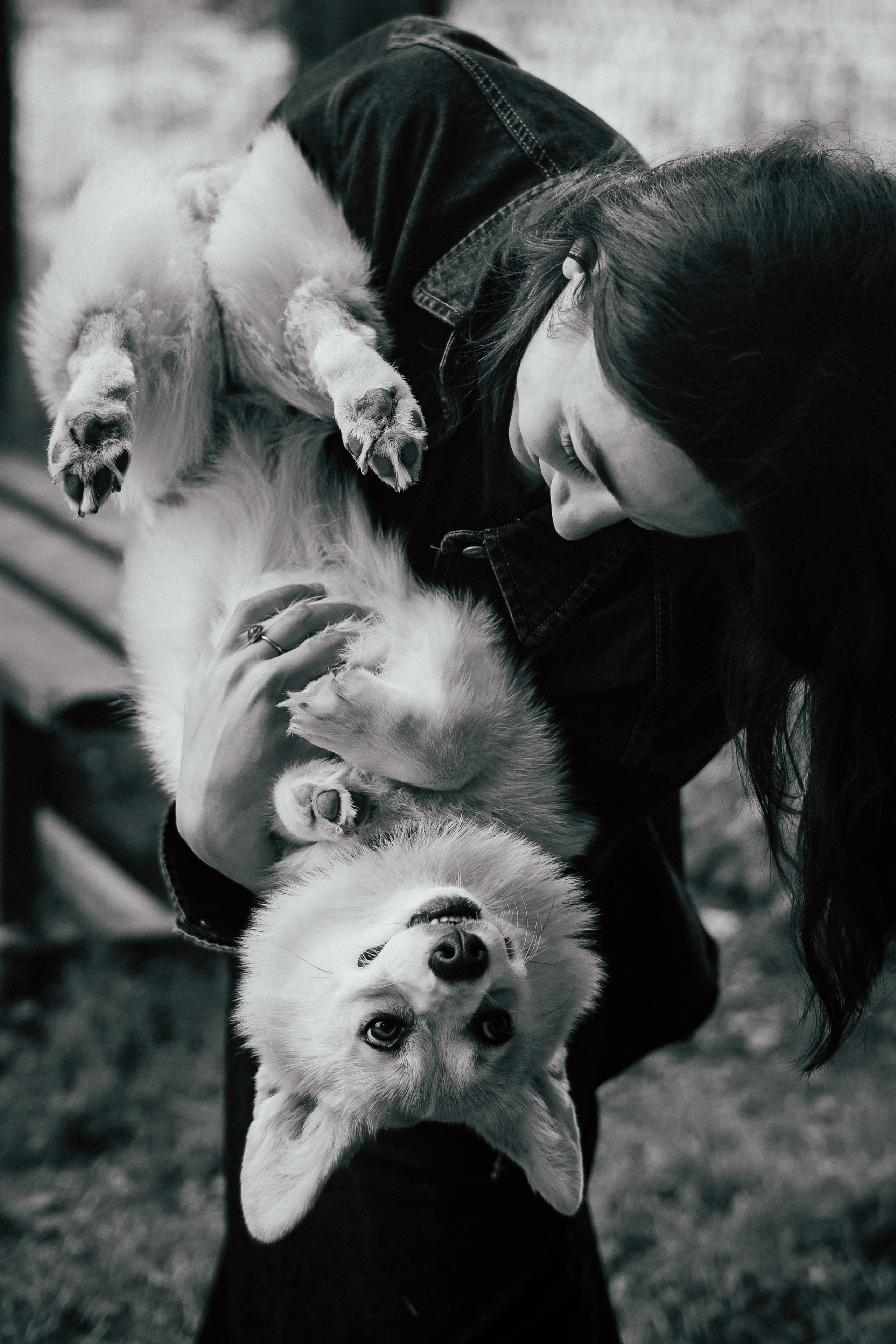 Фотосессия с собакой сахалин. Фотограф сахалин