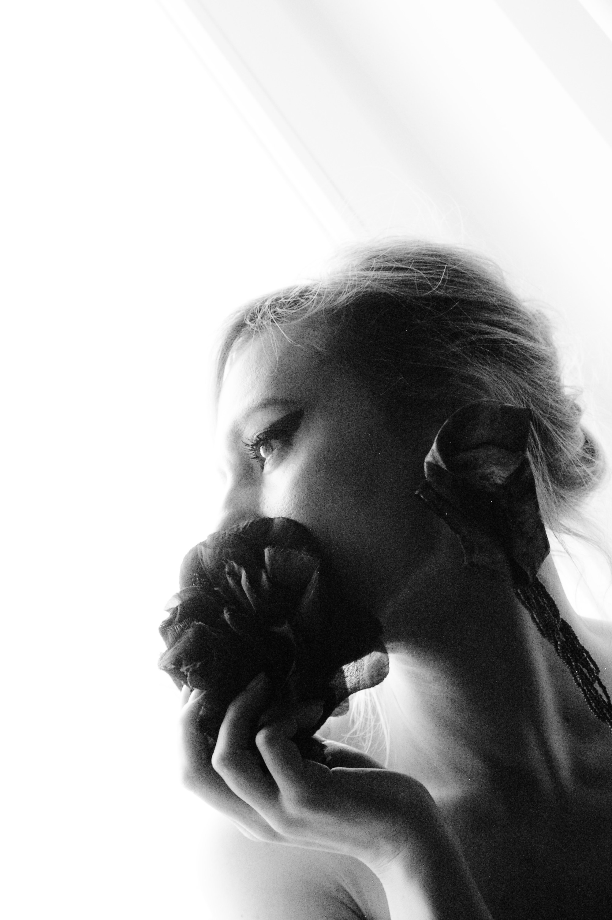 The Rose. Juliarubis.com