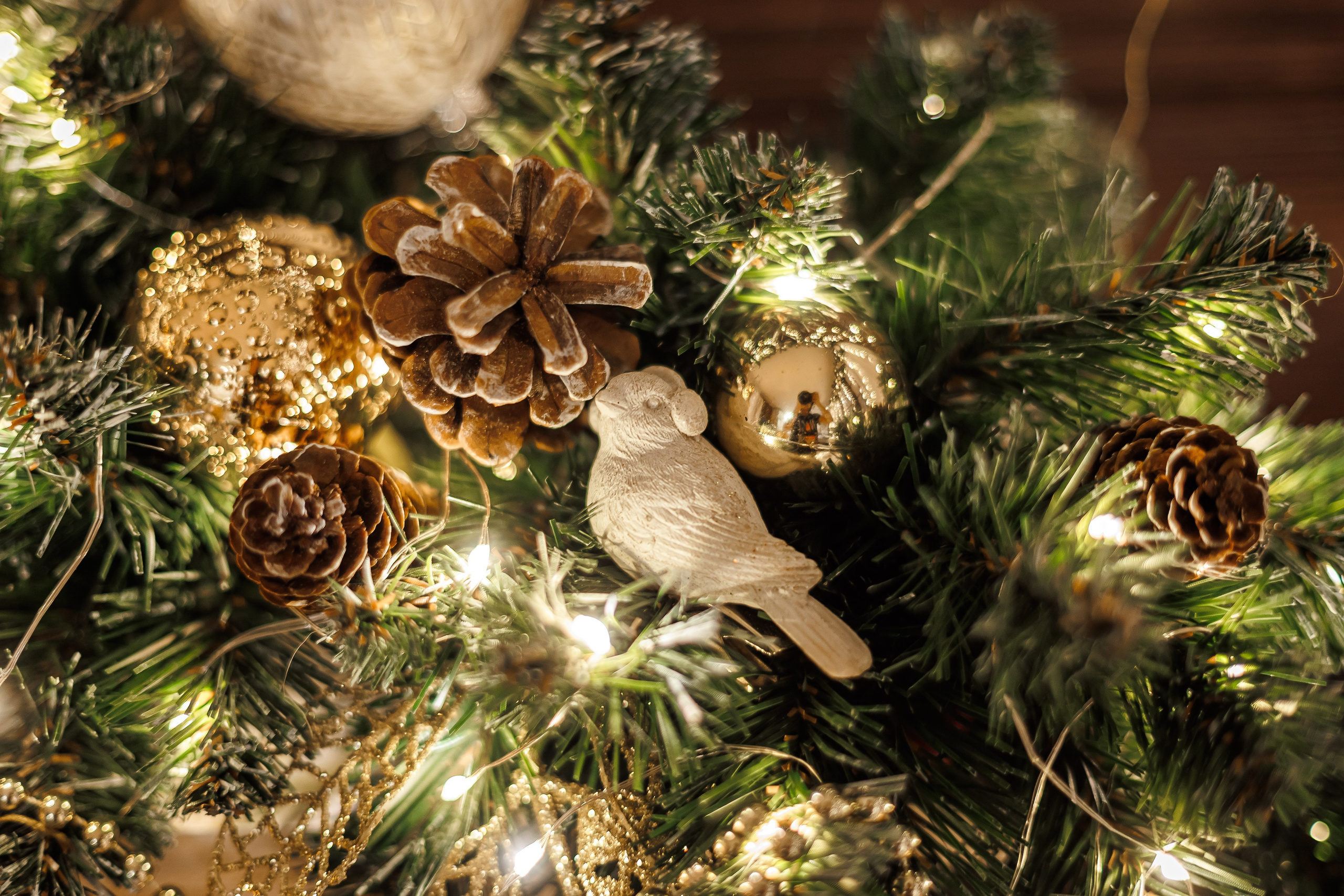 Отзывы. Семейный и детский фотограф Комина Елена, Власиха, Одинцово