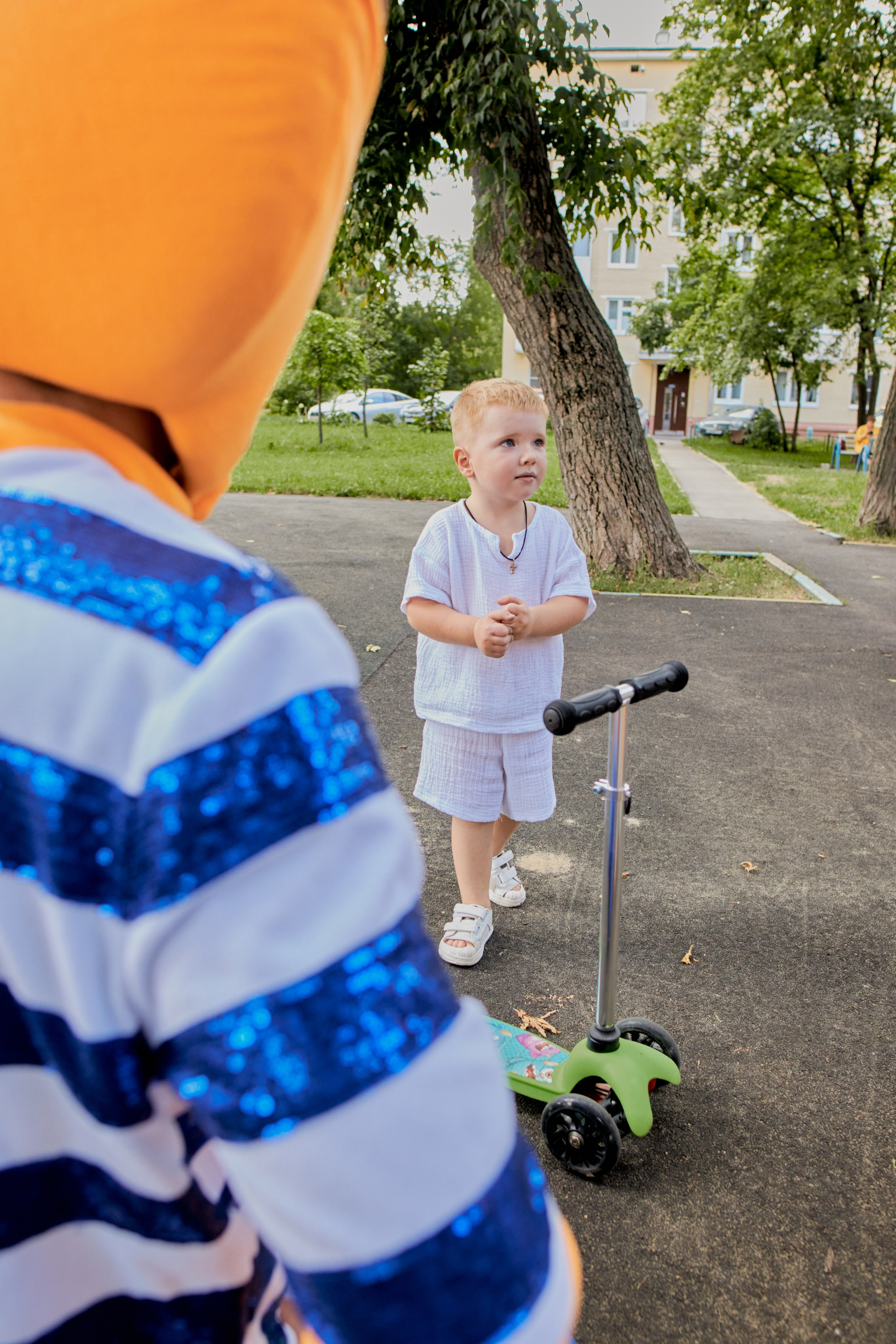 Три кота. Фотограф Москва