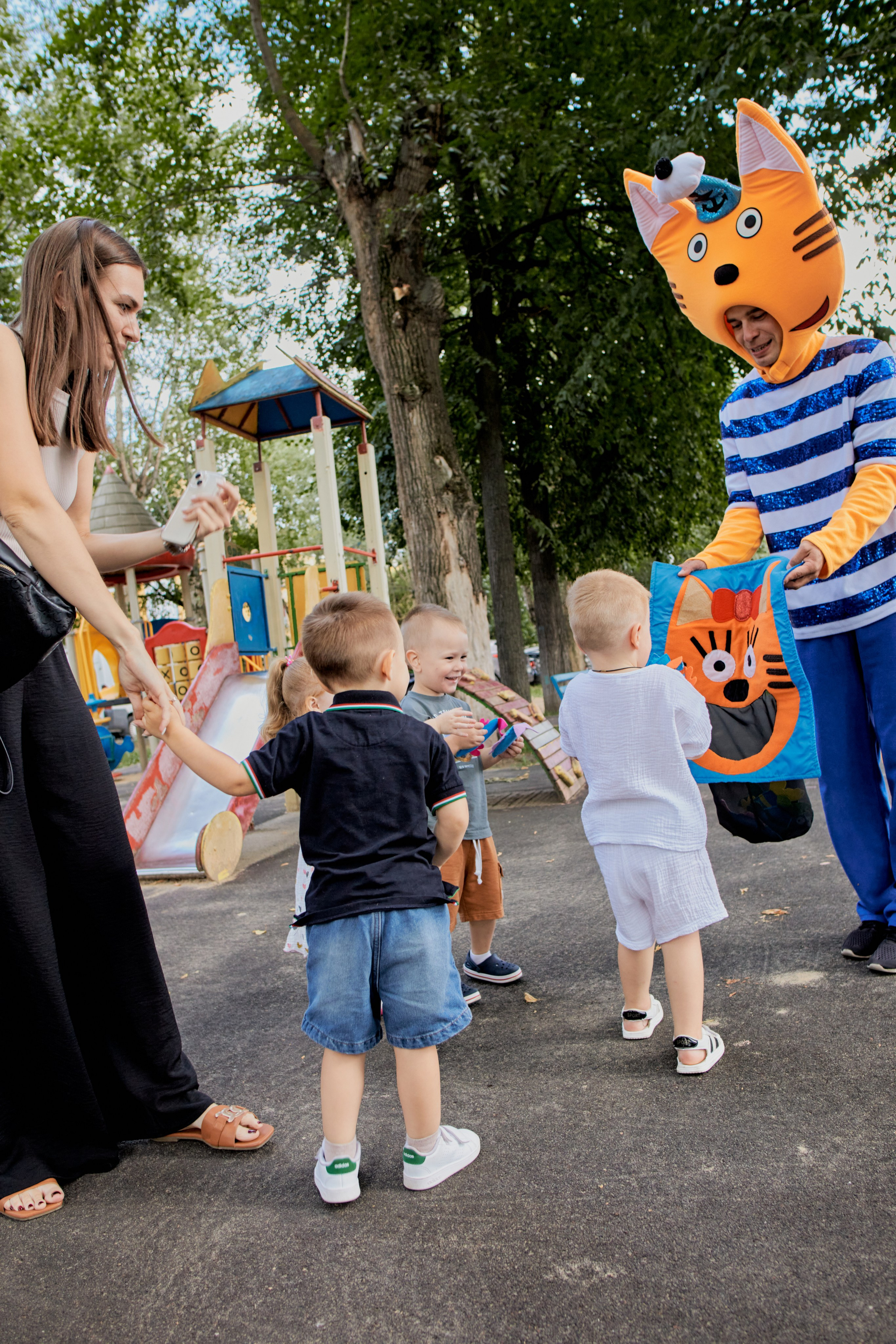 Три кота. Фотограф Москва