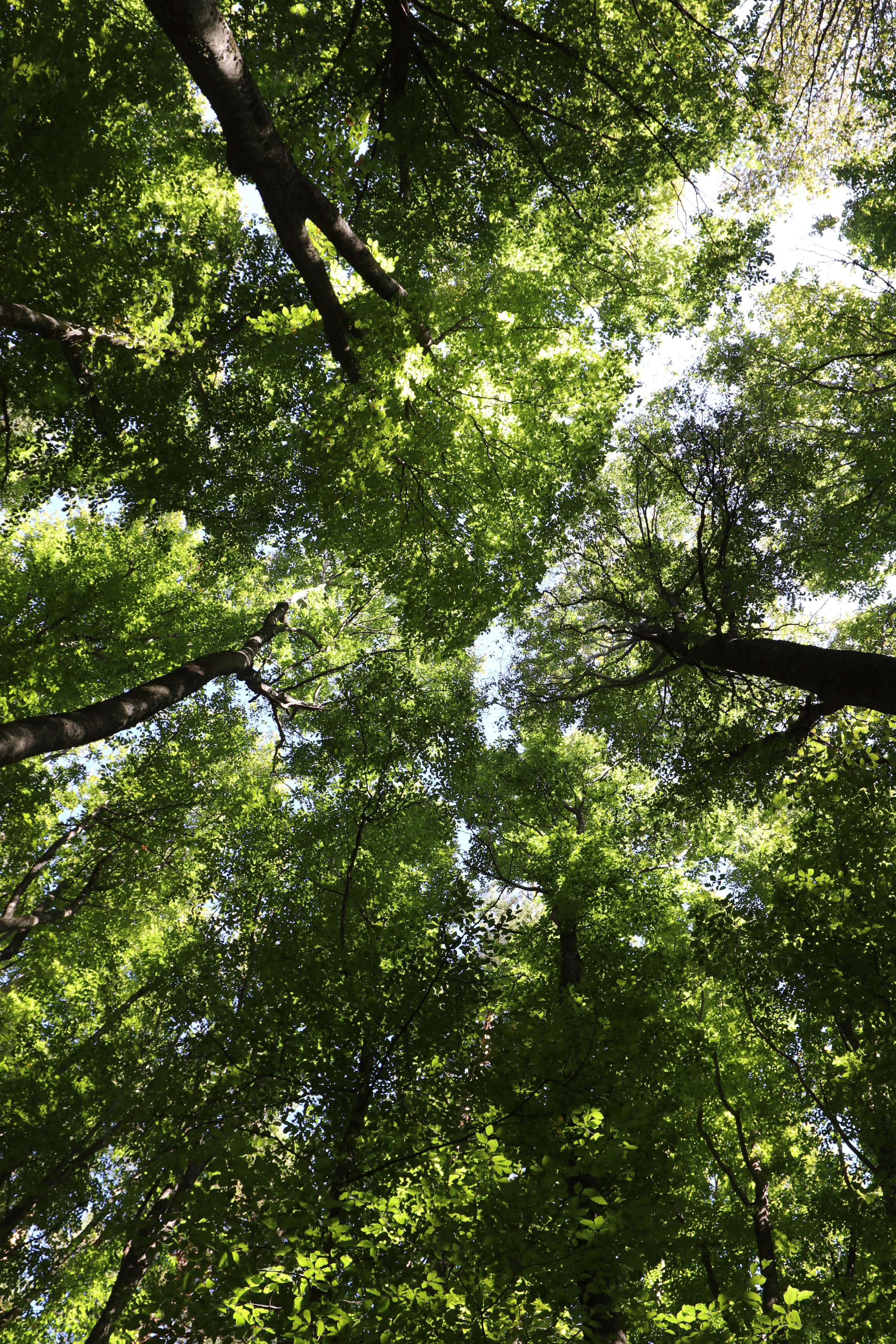 Крым. ЮБК (Фиолент, Ай-Петри, Роман-Кош). Знакомство. Октябрь 2017. Путешественник-фотограф из Санкт-Петербурга Татьяна Свистулина