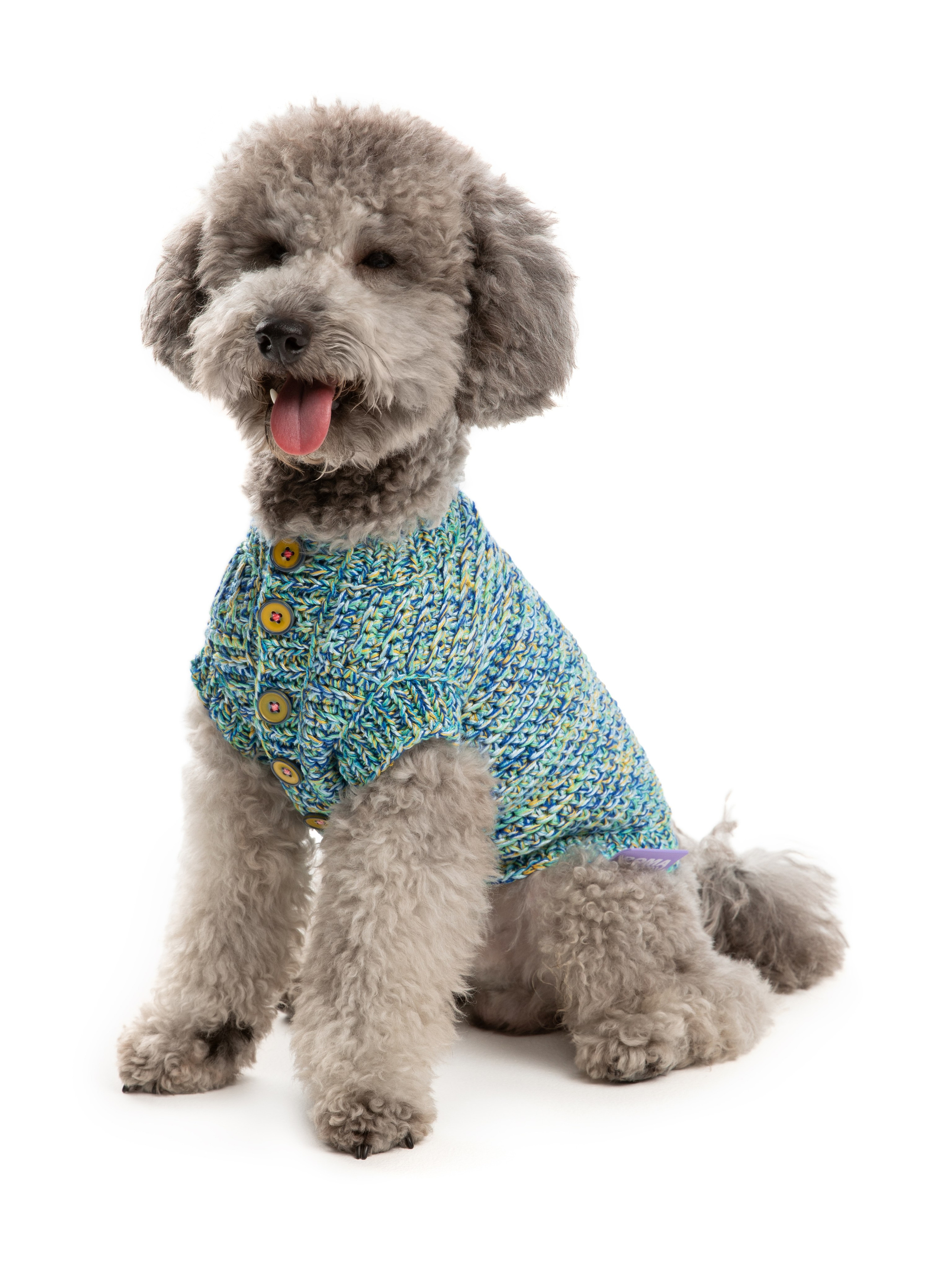 Одежда для собак Pet Subject. Олег Дмитриев