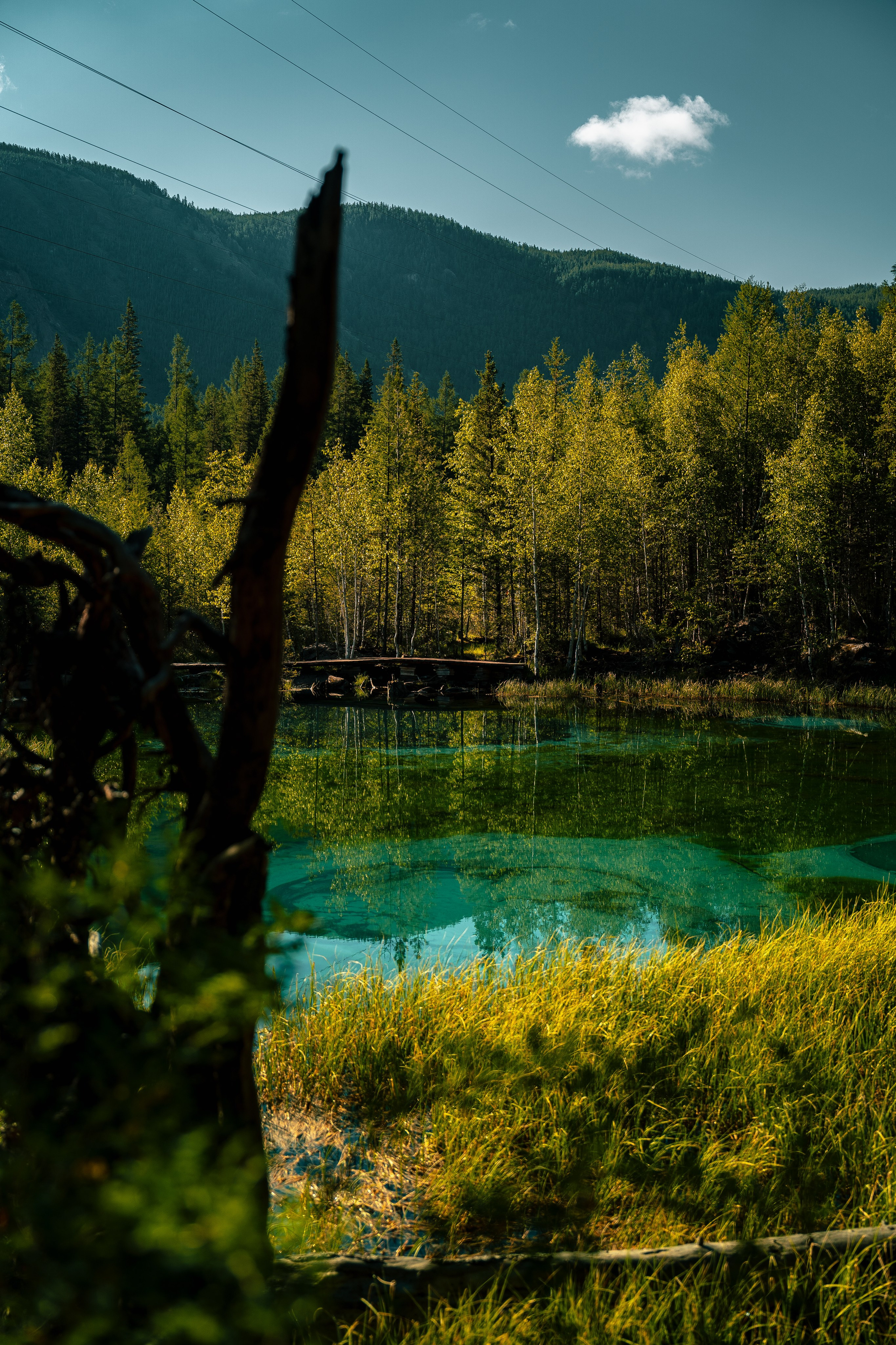 Алтай. Оператор и Фотограф в Санкт-Петербурге и Москве