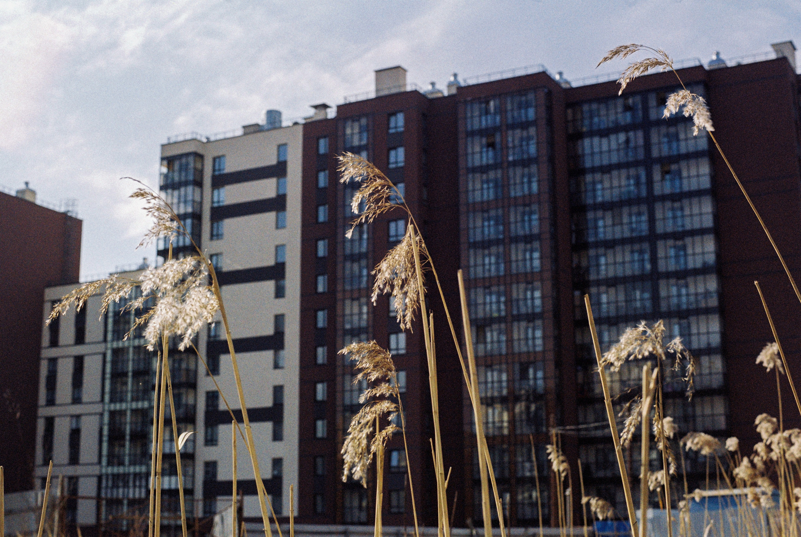 Плёночная весна 2025. Илья Михачёв Фотограф ПРО людей