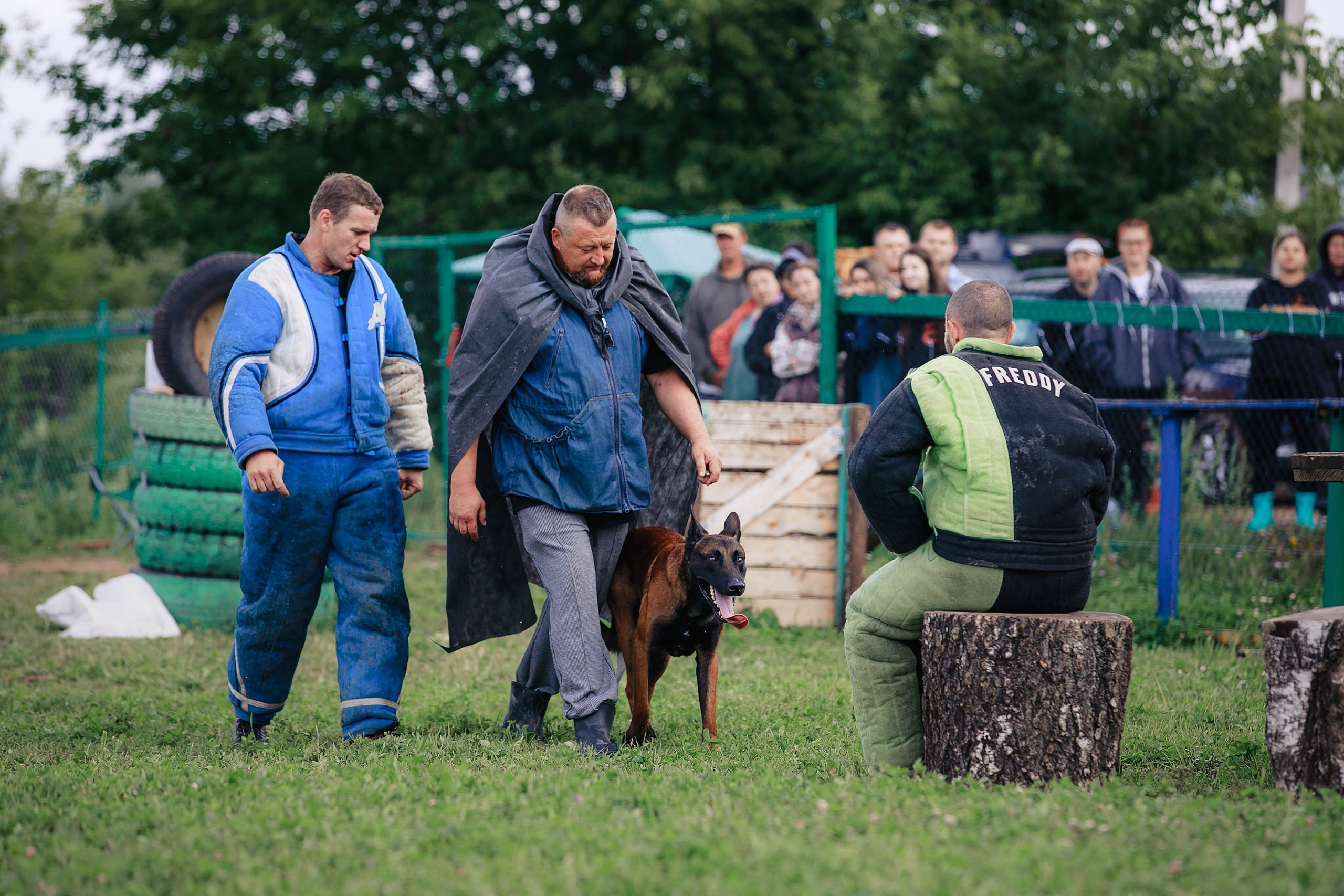 Мондьоринг М1, М2, М3, Вологда. Фотограф-анималист Mary Mart — Москва, Питер