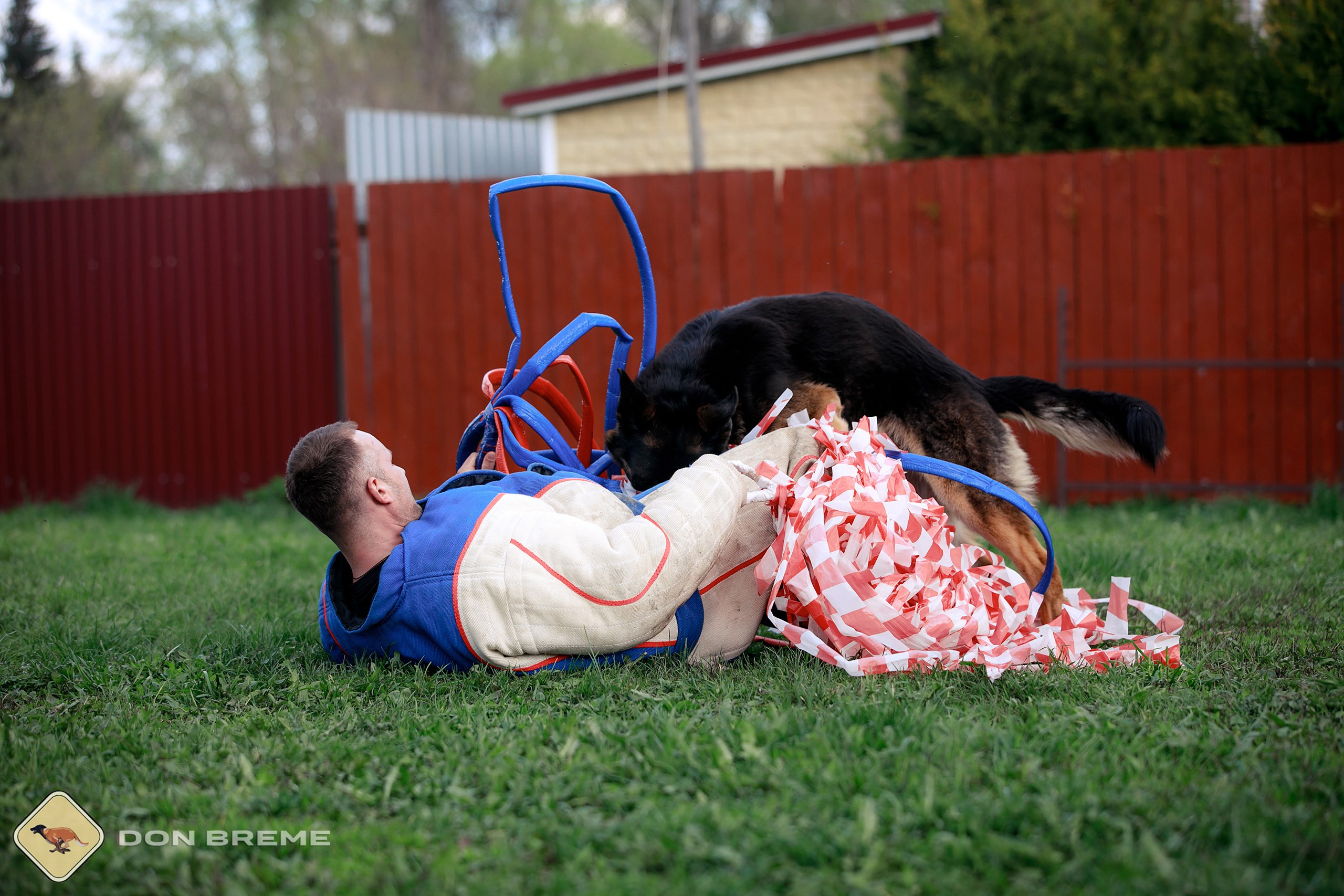 Семинар для фигурантов, день 2. Фотограф-анималист Mary Mart — Москва, Питер