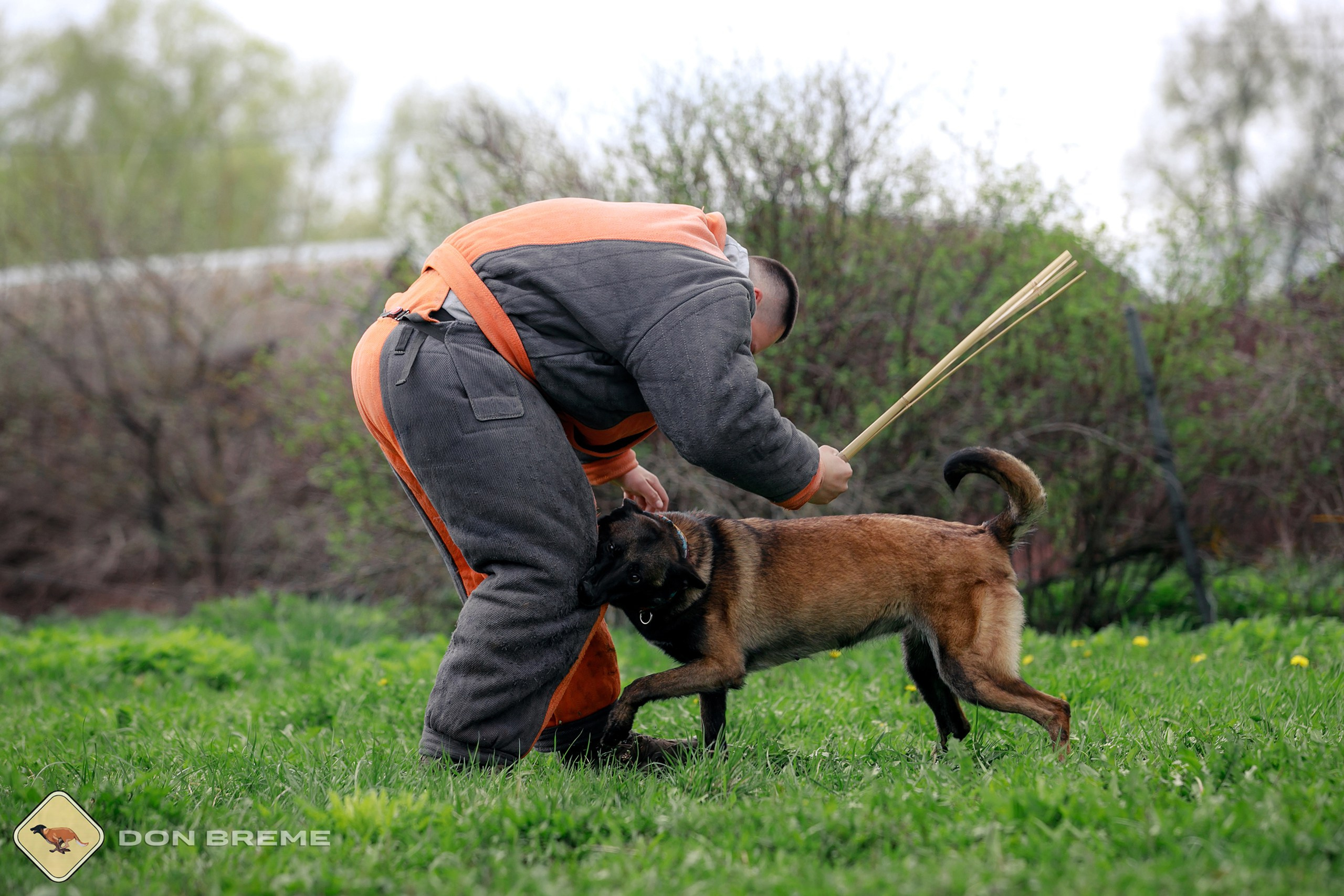 Семинар для фигурантов, день 2. Фотограф-анималист Mary Mart — Москва, Питер