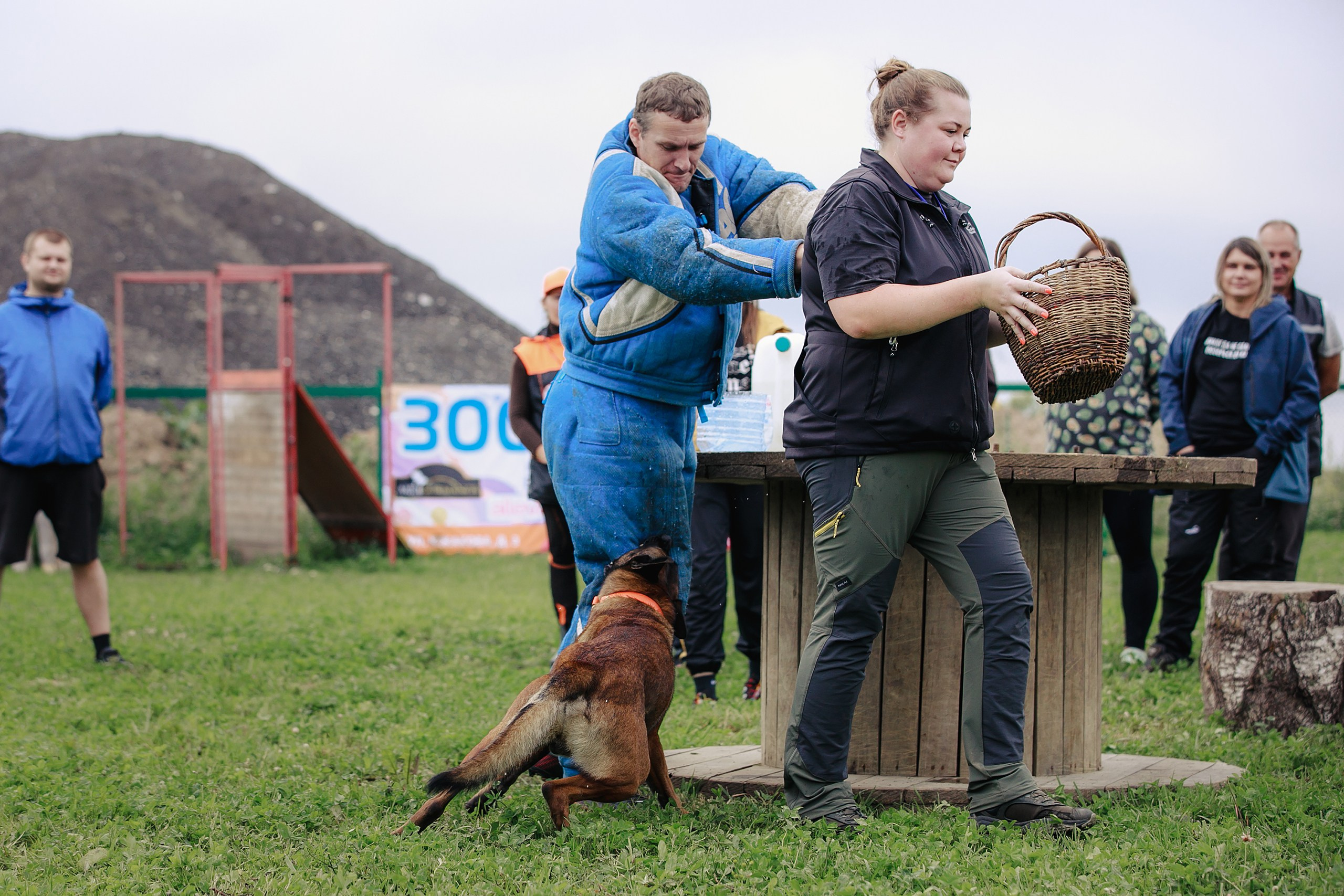 Мондьоринг М1, М2, М3, Вологда. Фотограф-анималист Mary Mart — Москва, Питер
