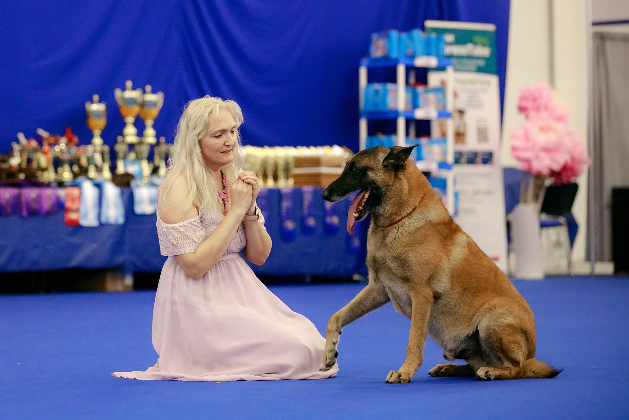 Танцы на выставке «Зоошоу», СПб. Фотограф-анималист Mary Mart — Москва, Питер