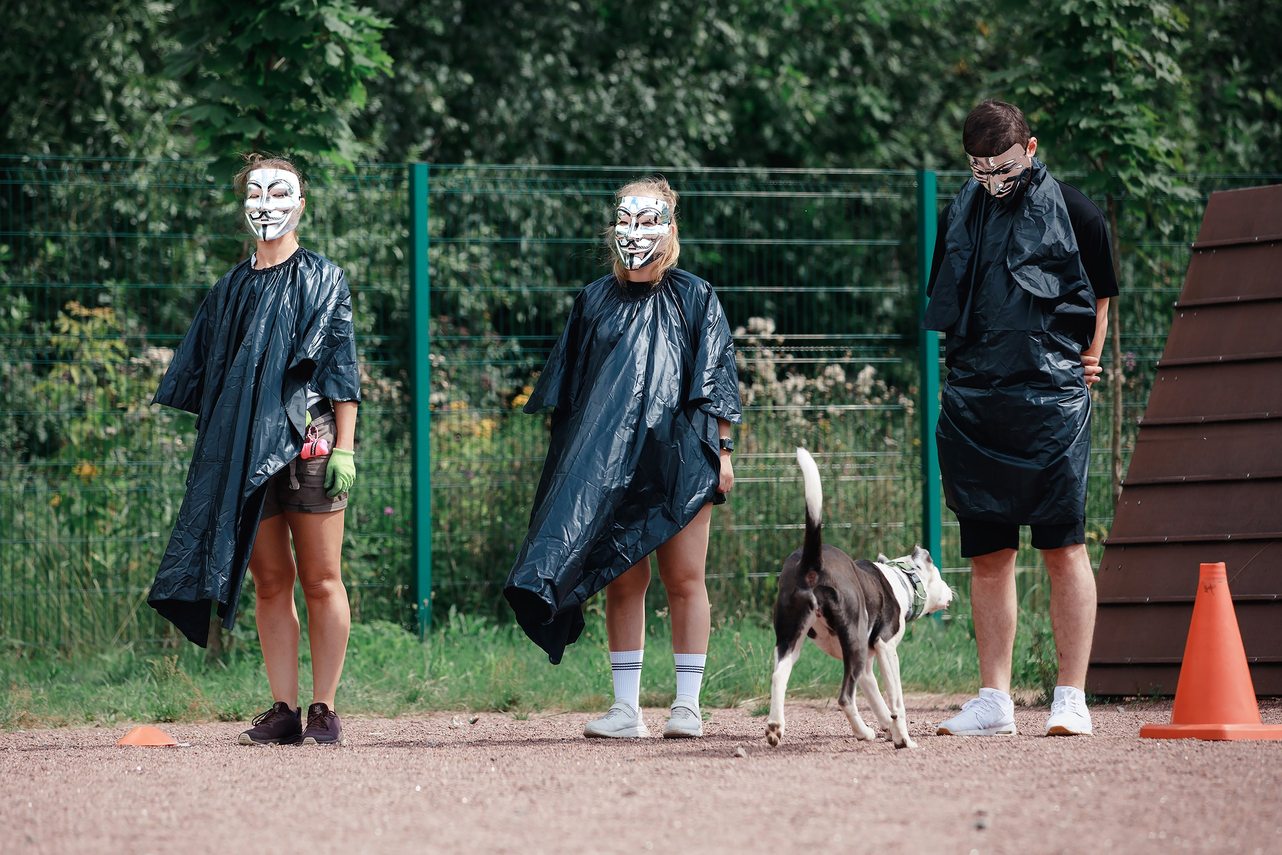Питч&Гоу + веселые старты. Фотограф-анималист Mary Mart — Москва, Питер