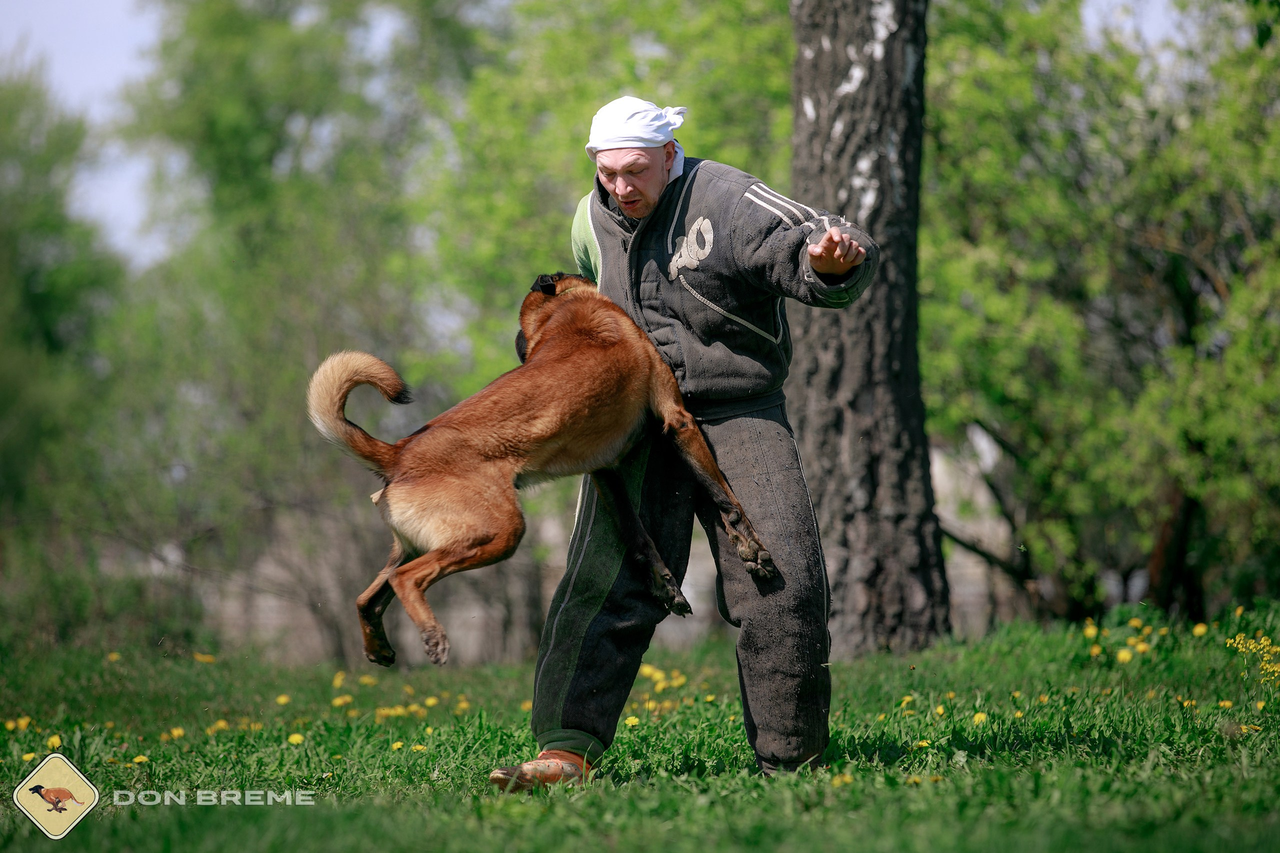 Семинар для фигурантов, день 4. Фотограф-анималист Mary Mart — Москва, Питер
