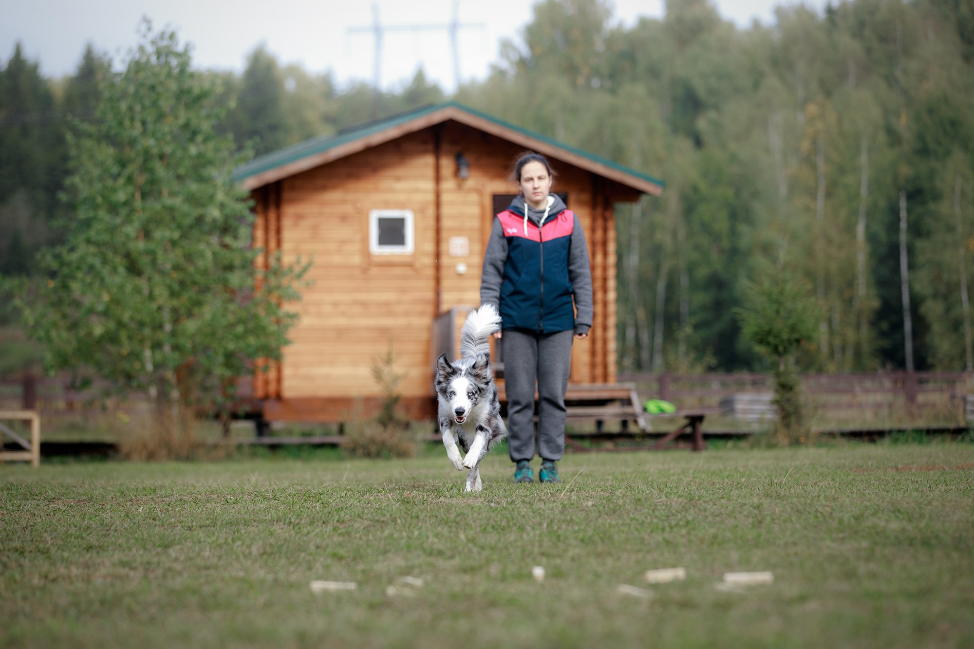 Лагерь по ОБД с Инной Баженовой. Фотограф-анималист Mary Mart — Москва, Питер