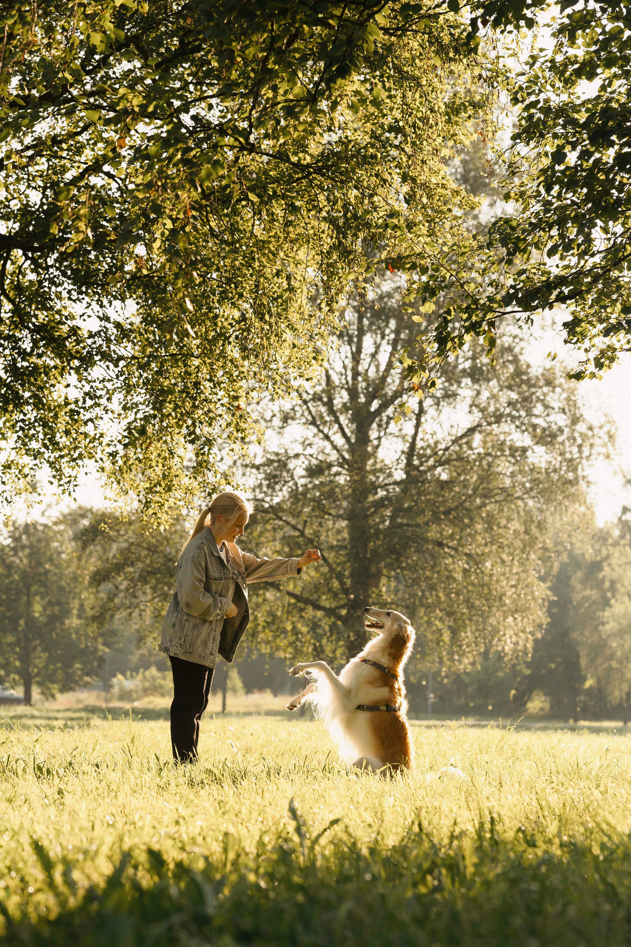 Тайга. Фотограф- анималист Александра Матвеева