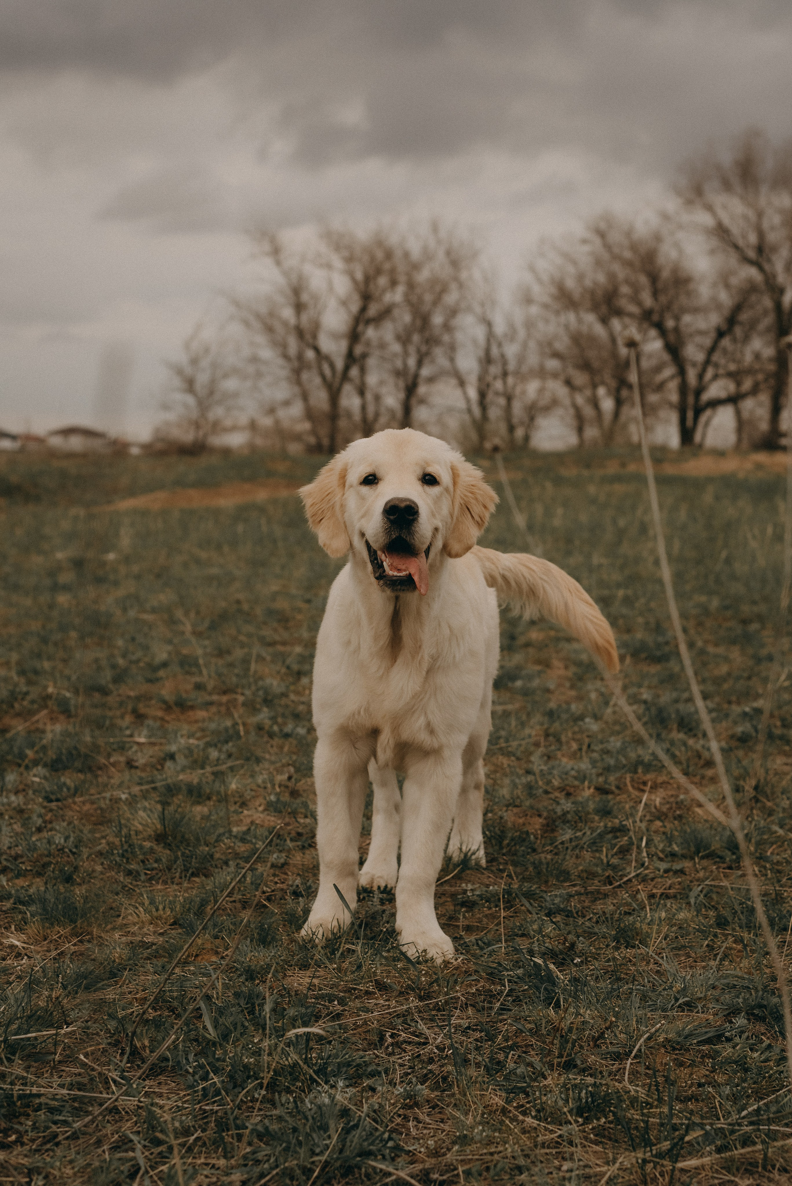 Вика, Кирилл, Николь и Хлоя