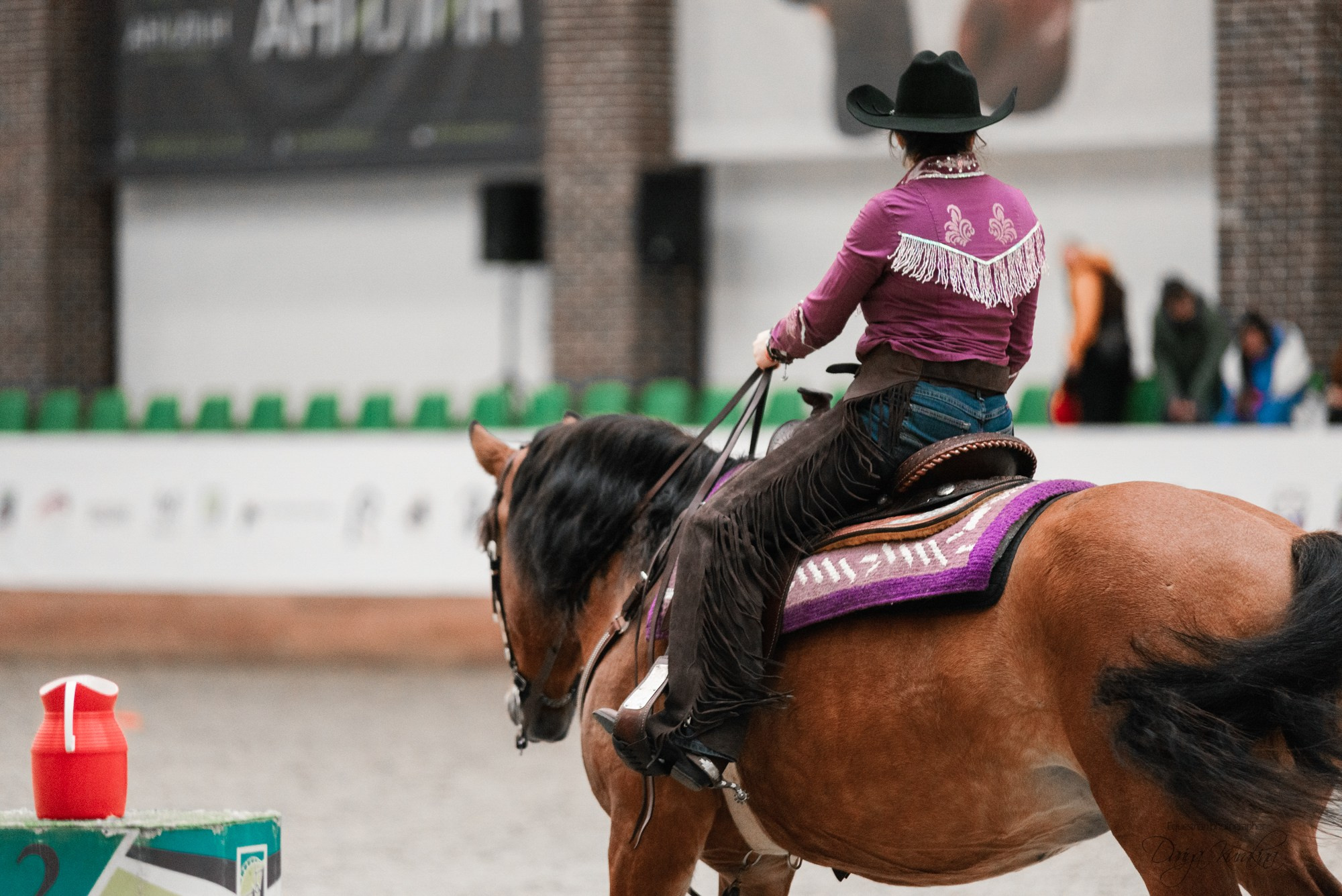 8-я международная выставка Конная Россия. Конный фотограф Куракина Дарья • Фотосессии с лошадьми