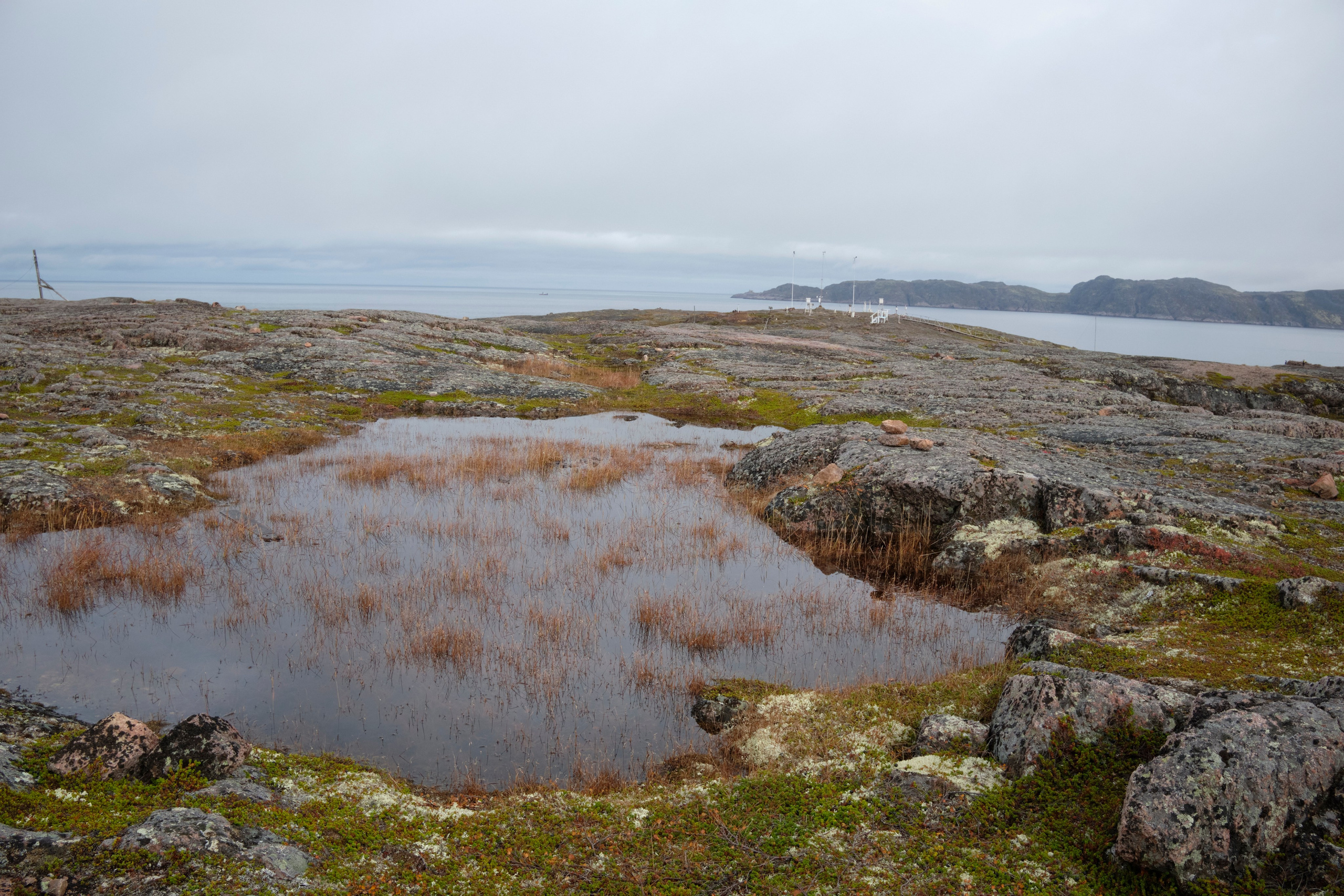 Путешествие в Териберку. Елена Павленко. Фотограф. Москва