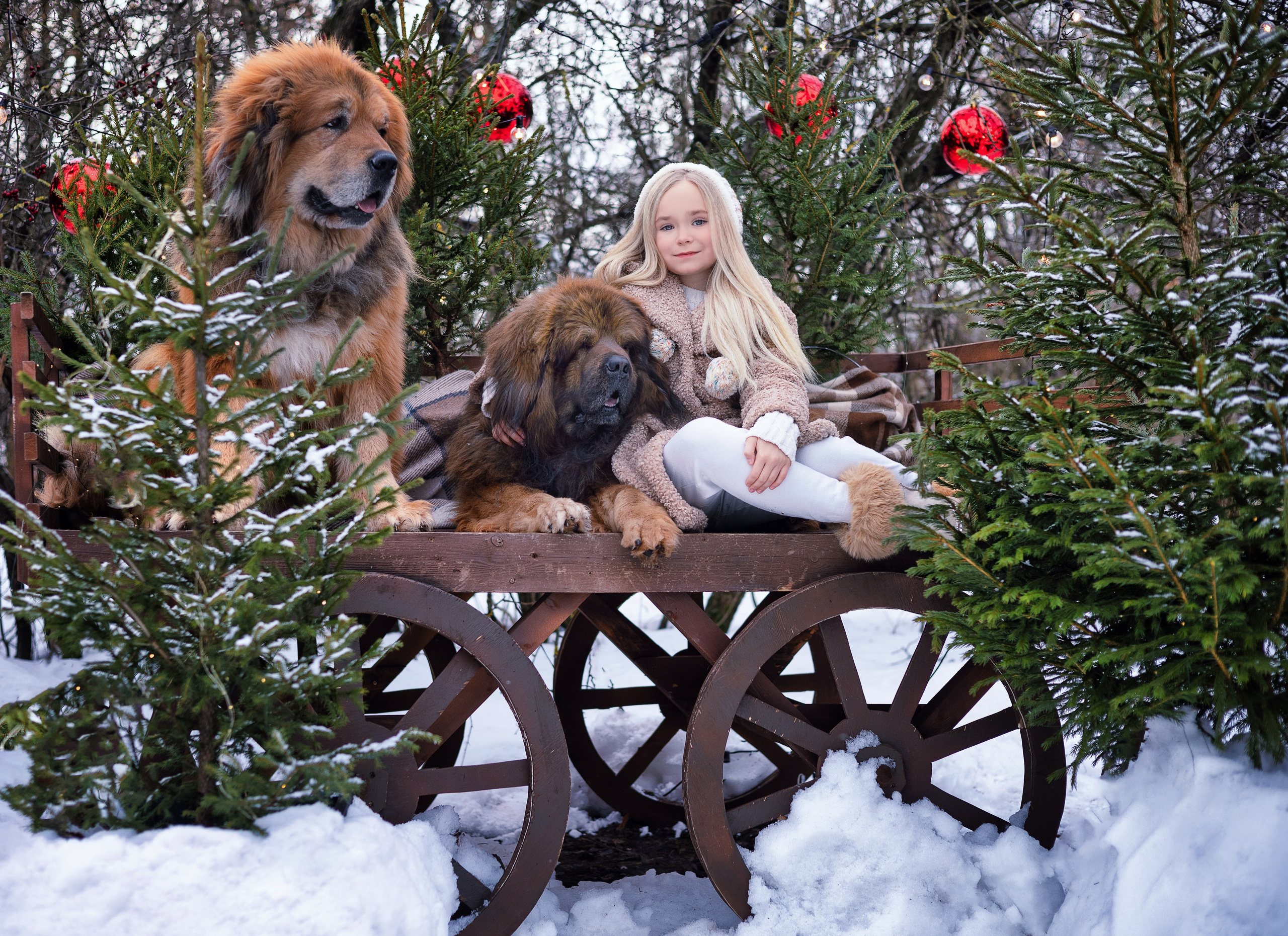 Детские съёмки. Фотограф Юлия Ревищина