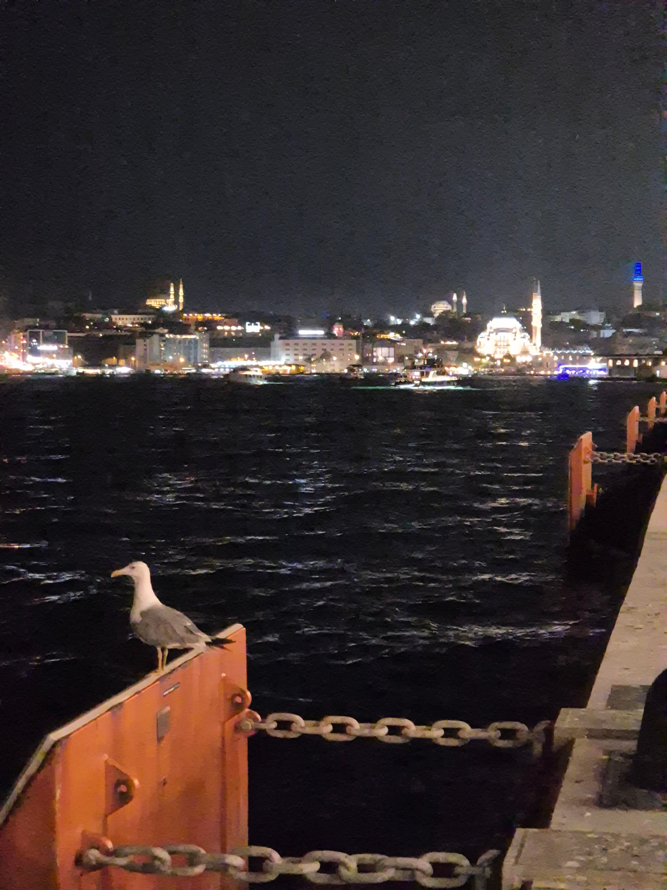 И местные жители