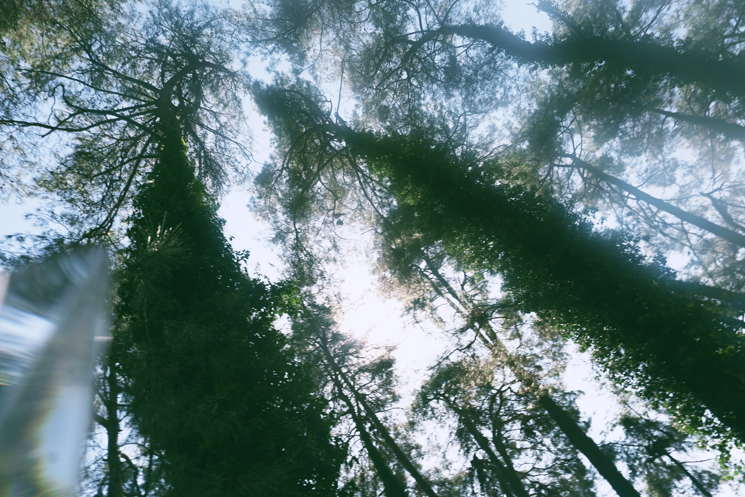 Абхазия. Iraogo