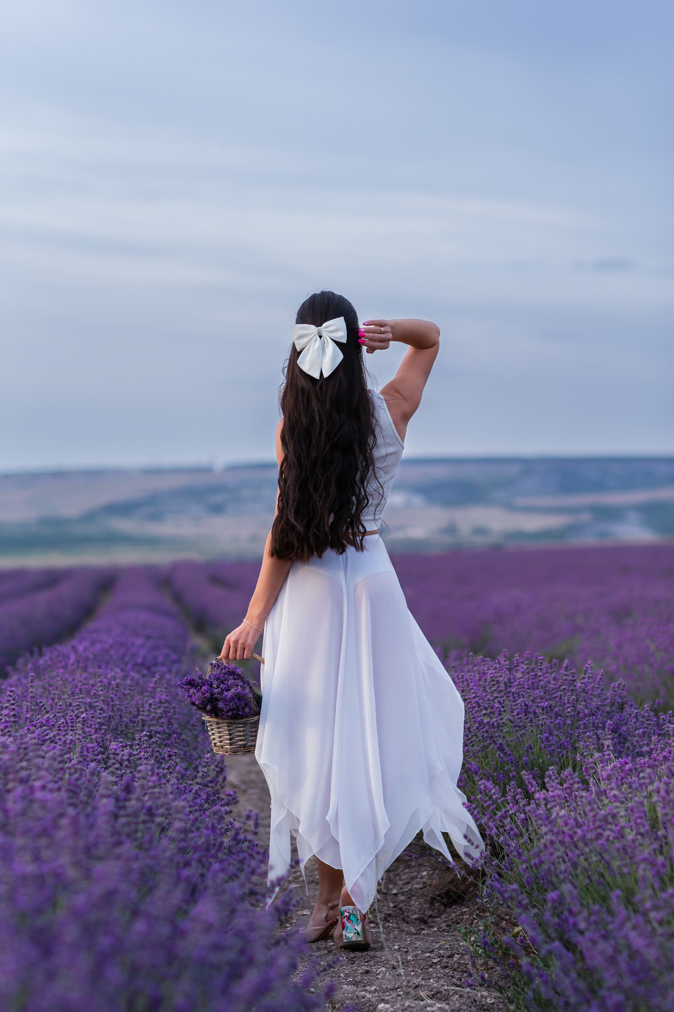 Лаванда. Фотограф в Севастополе и Крыму Антон Попков