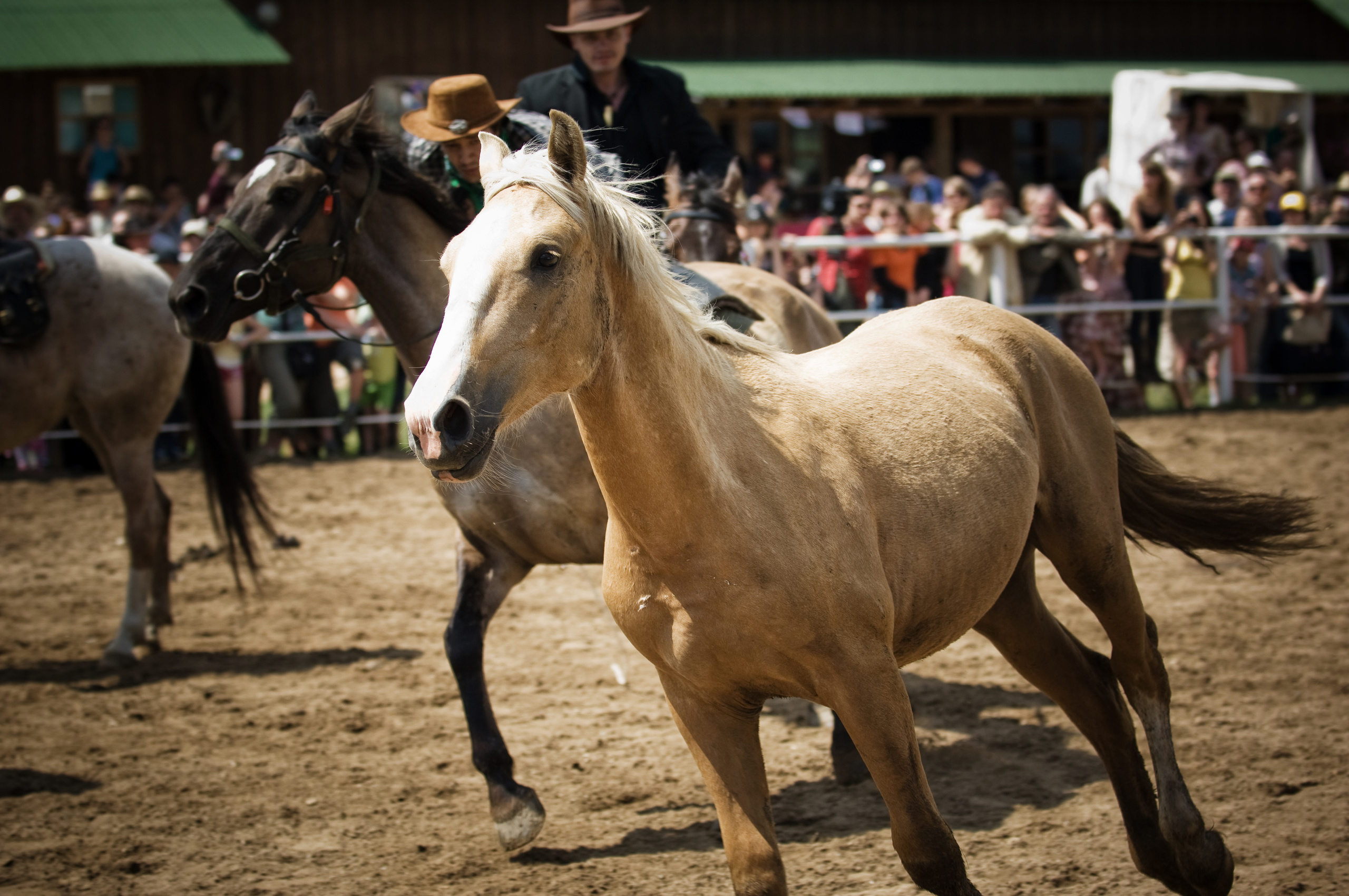 События. Профессиональный фотограф Москва Россия Граждан Олег