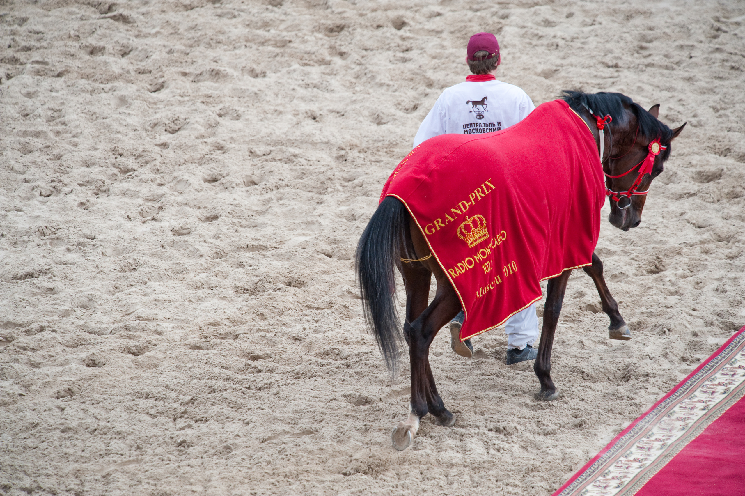 События. Профессиональный фотограф Москва Россия Граждан Олег
