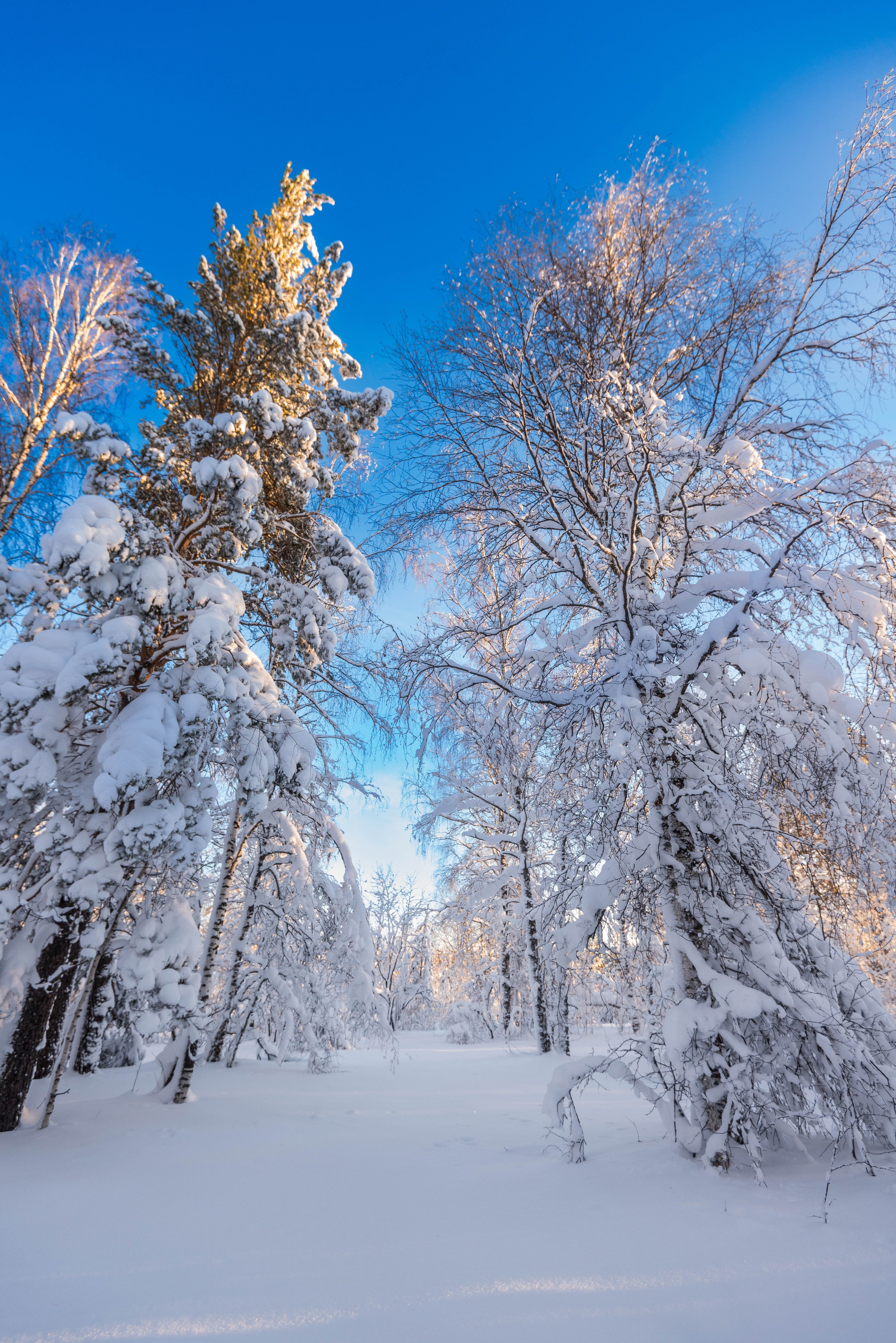 Таганай Семибратка, Парк Бажова, ледяной фонтан 06.01.2024. Свадебный фотограф на Урале Виктор Соколов