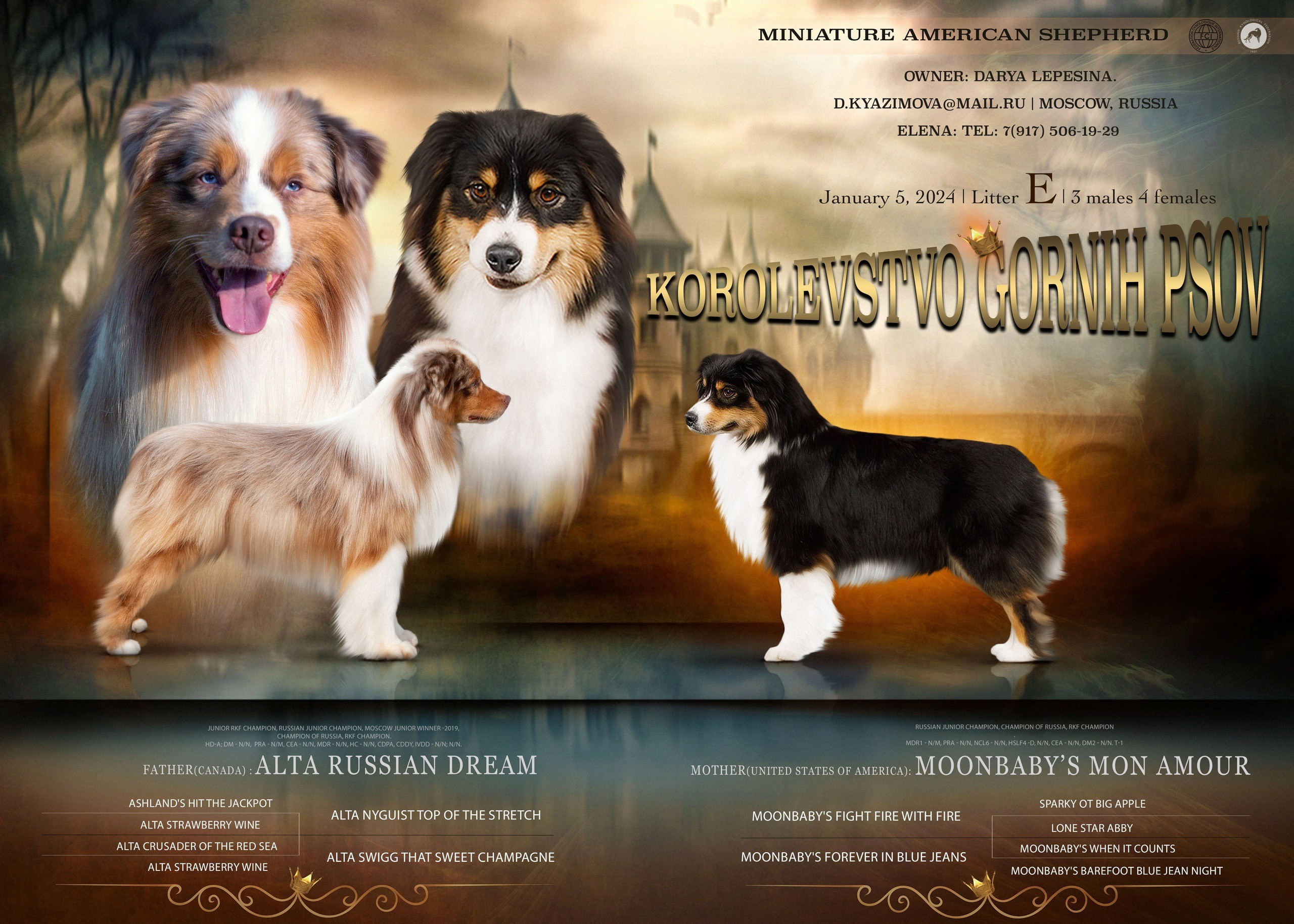 Animal presentation. Фотограф