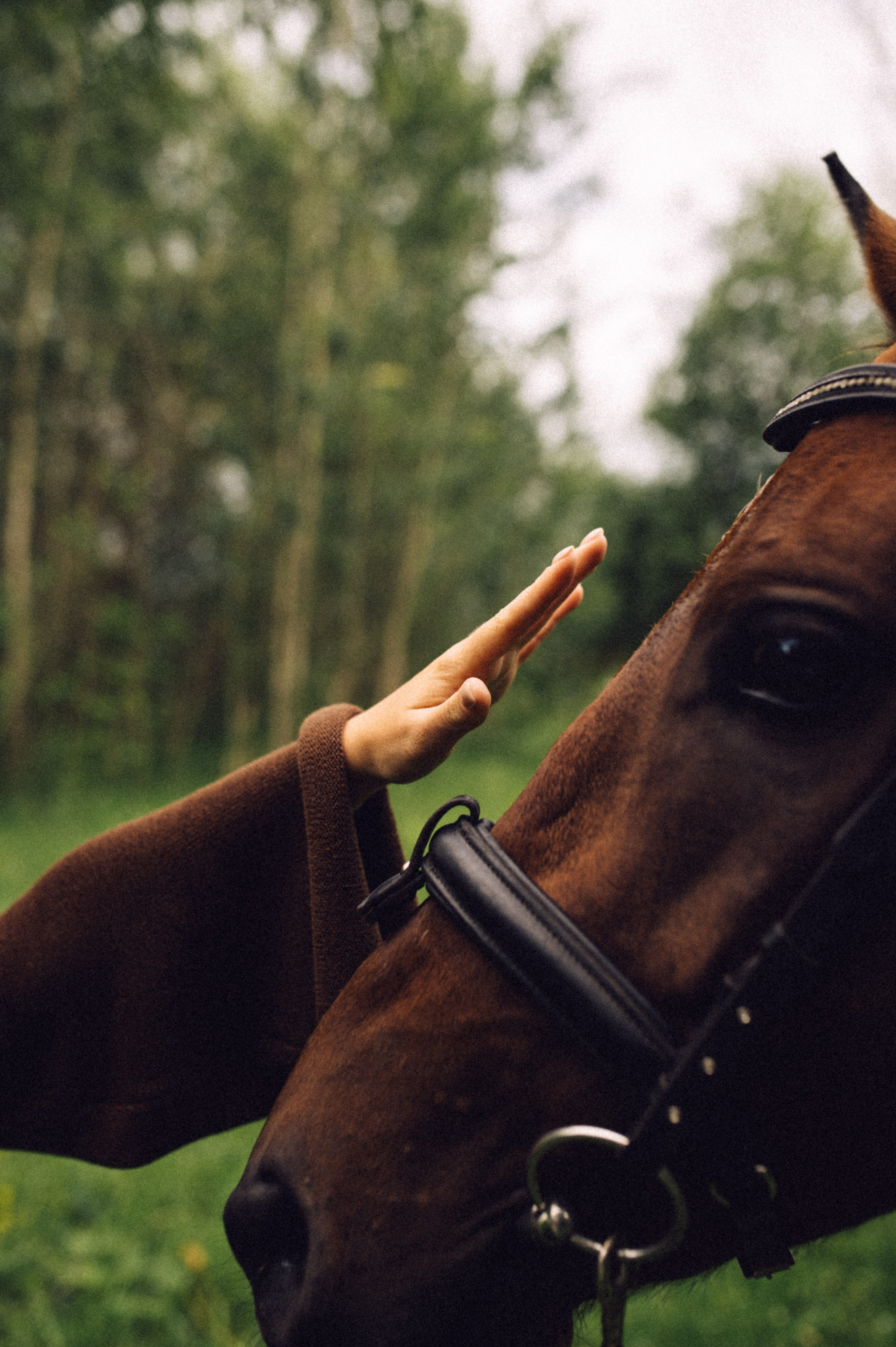 Лекса и Рим🐴. Лайфстайл фотограф в Москве Серебрянская Фаина
