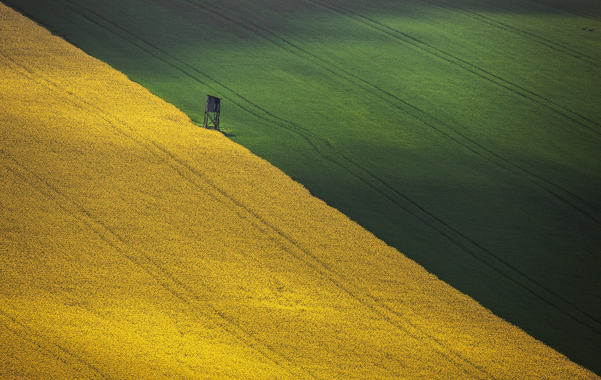 Пейзажи. Предметный фотограф в Москве Вячеслав Тимошенко