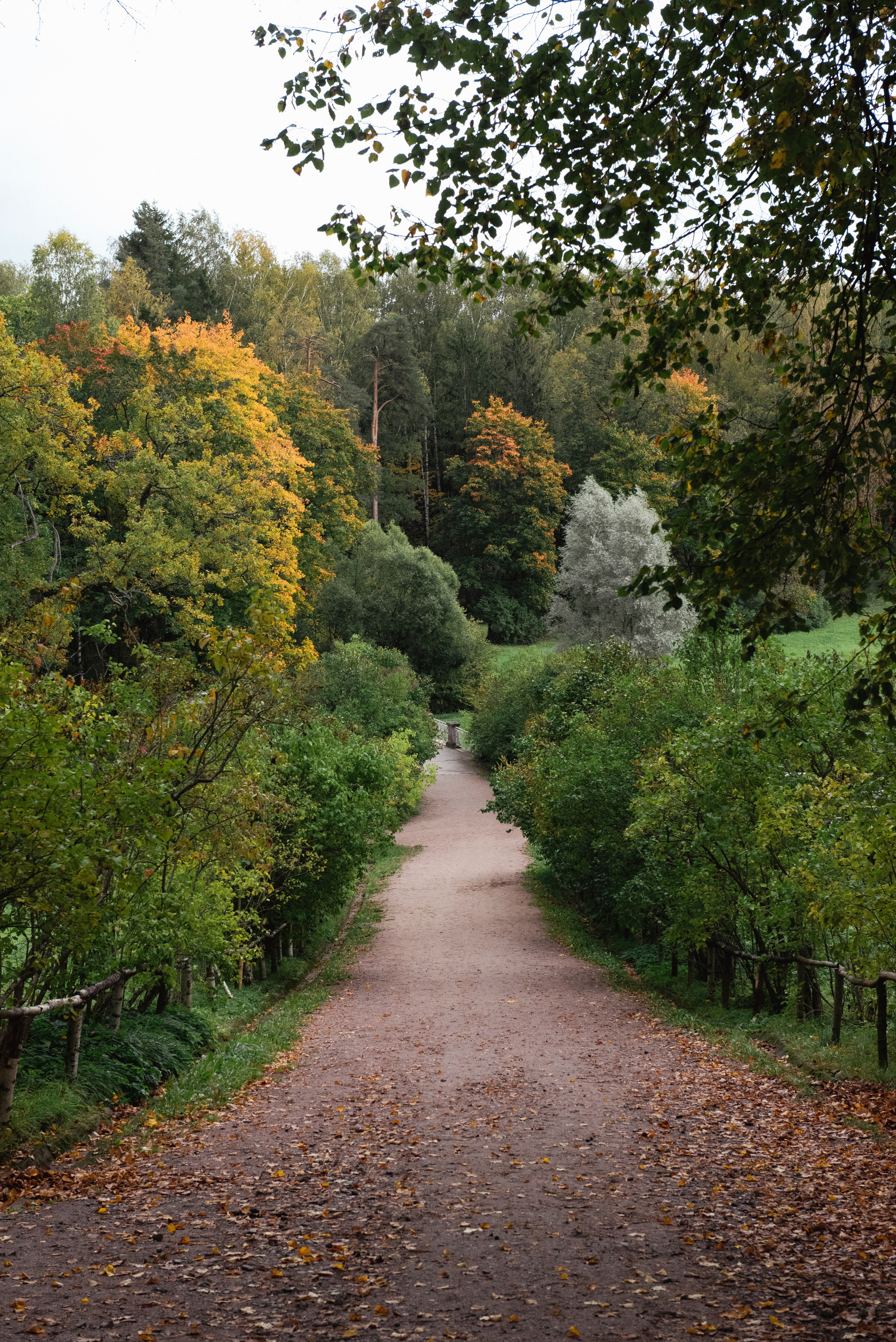 Павловский парк. Портретный и архитектурный фотограф в Москве и Санкт-Петербурге