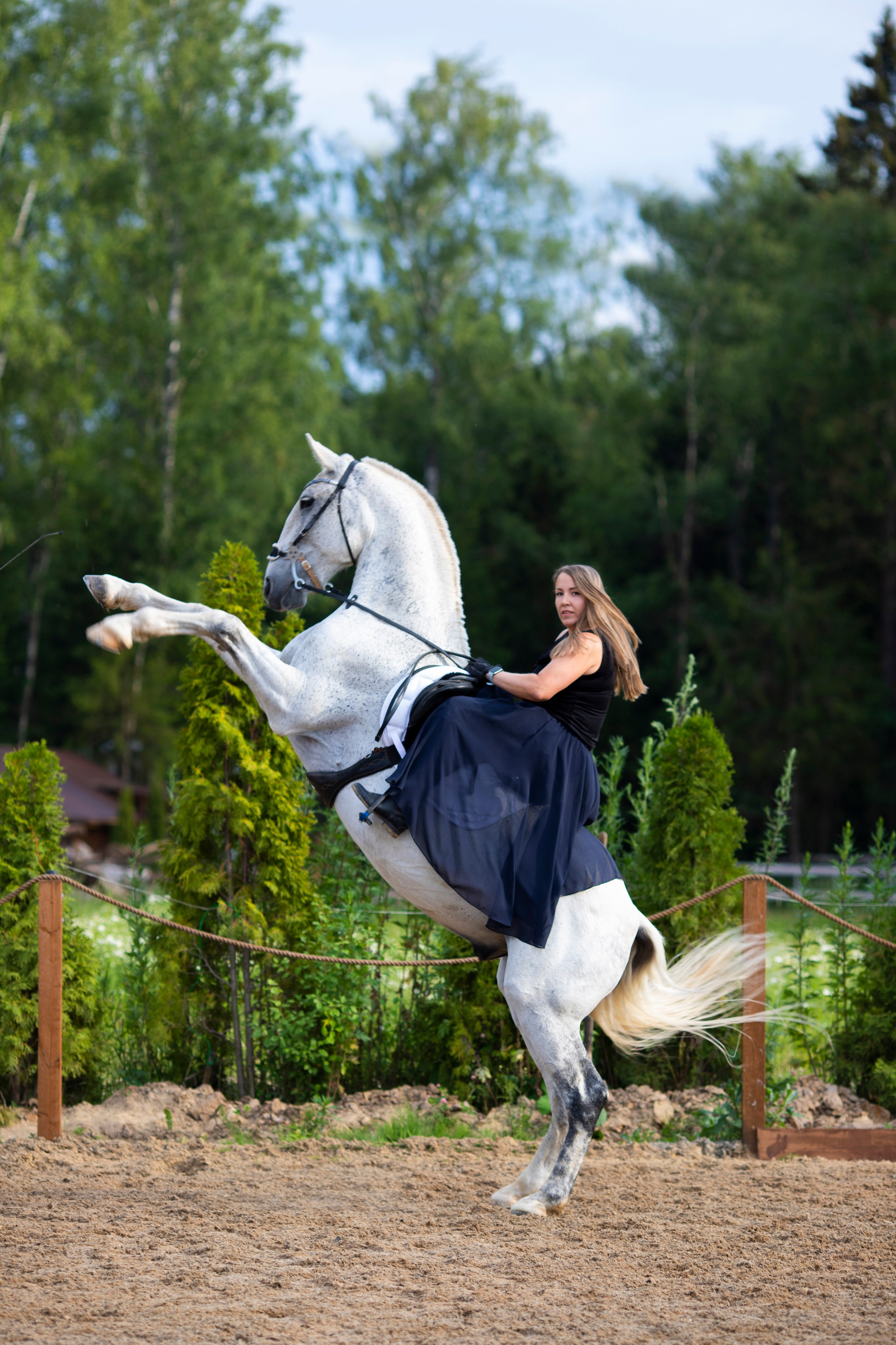 С лошадьми. Фотограф в Москве и в Московской области Сандра