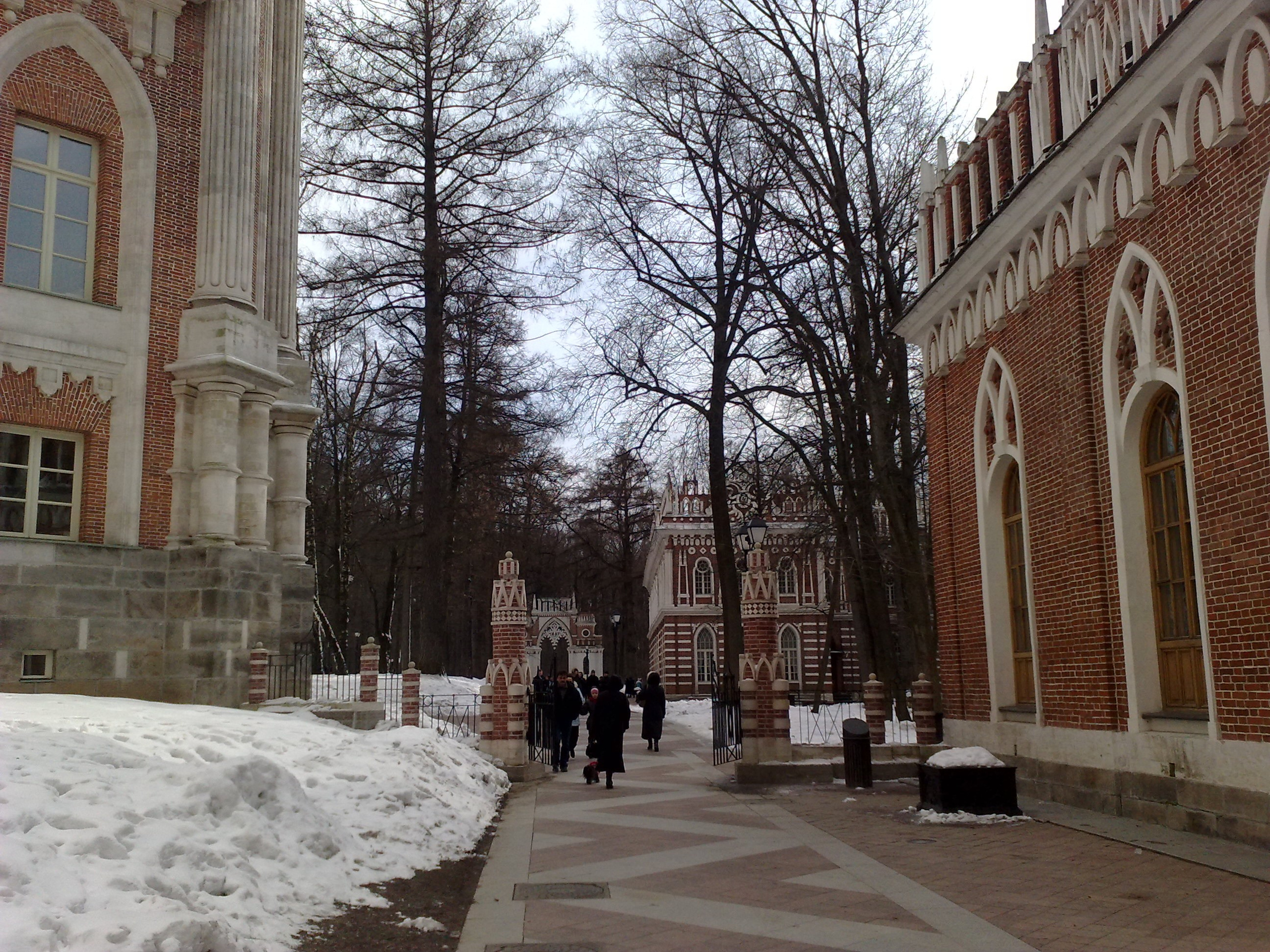 Царицино музей-усадьба. Питомник китайских хохлатых собак Poale Ell: купить щенка в питомнике