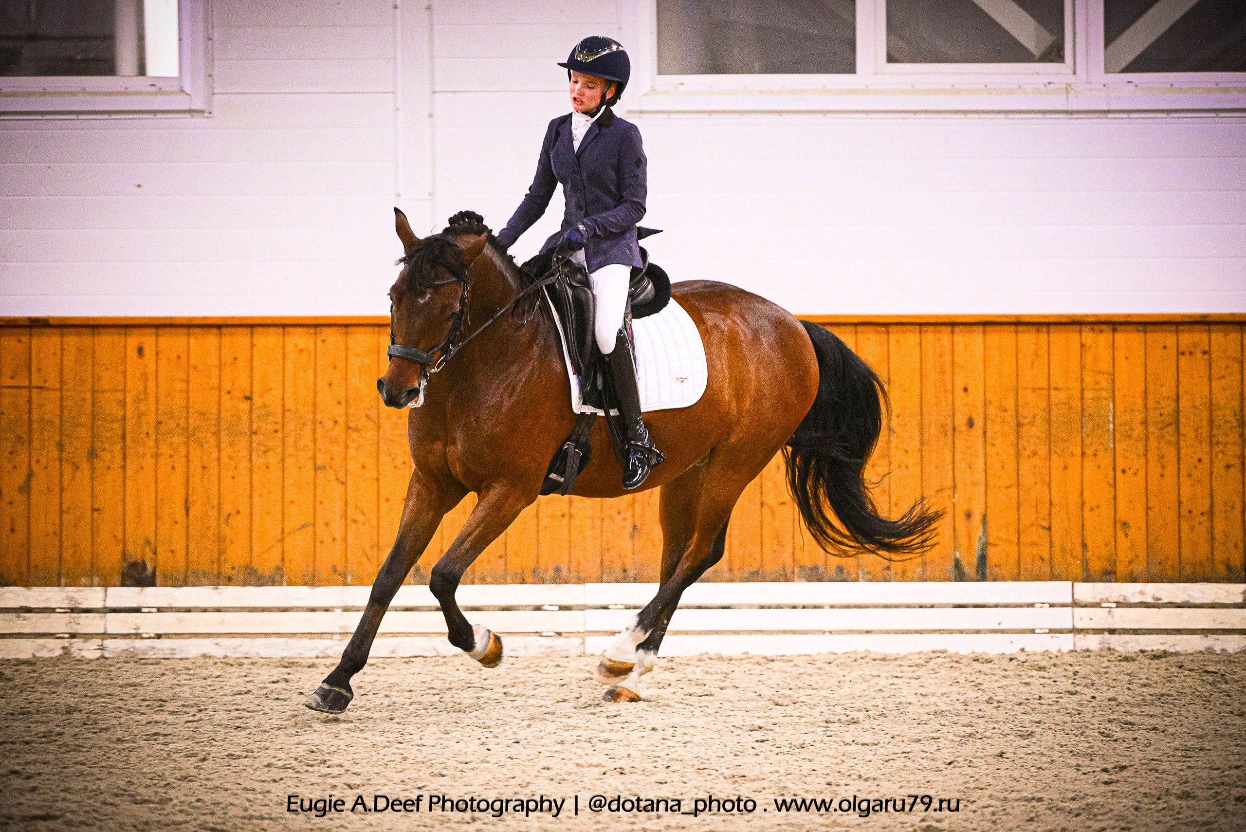 2025.10.19 — КСК Конкорд — выездка. ТУРНИРНАЯ КОННАЯ ФОТОГРАФИЯ, Руднева Ольга и Евгений Адеев