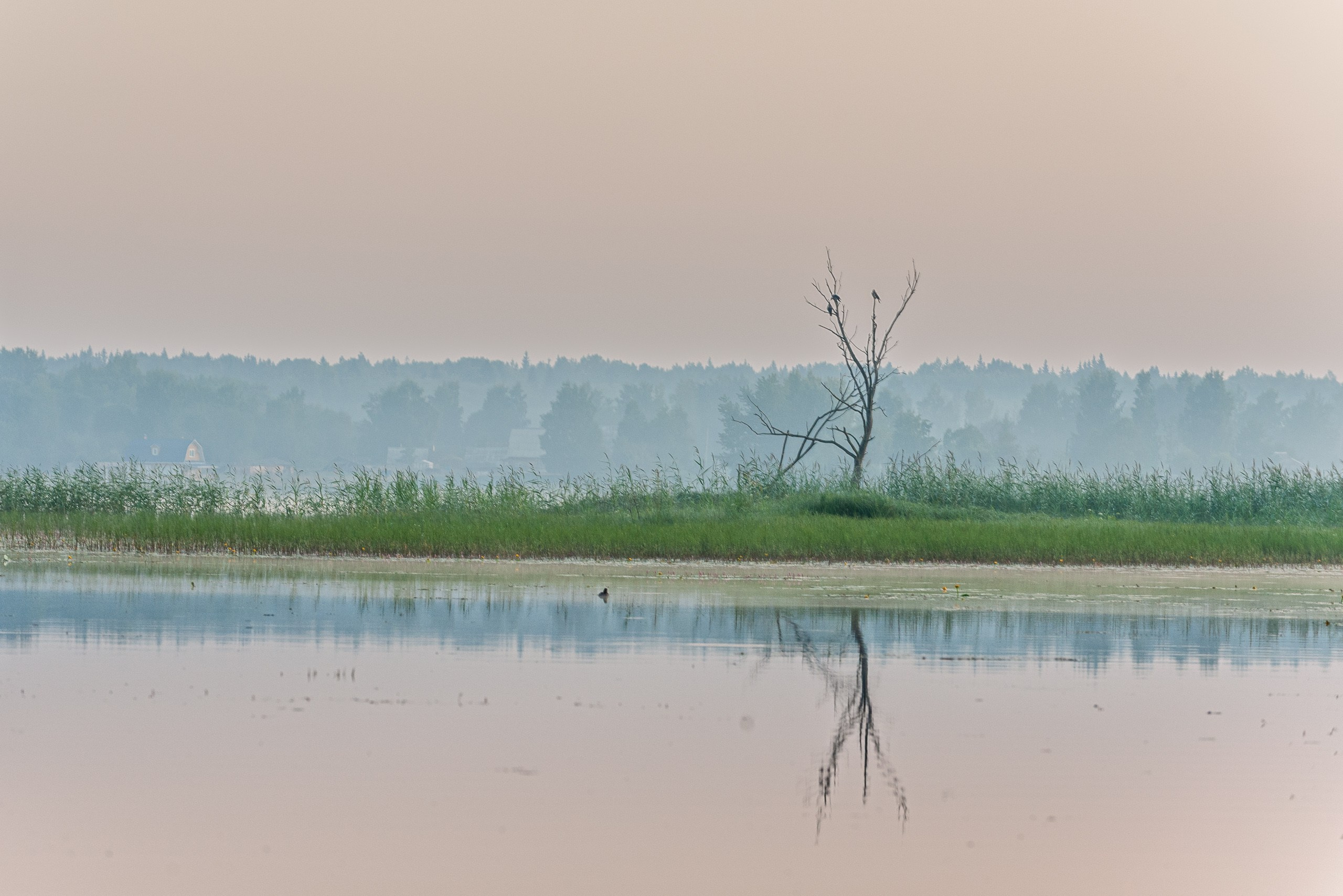 Летние тренировочные боры Школы Боевых Искусств «МОН», Валдай 2011 г. природа