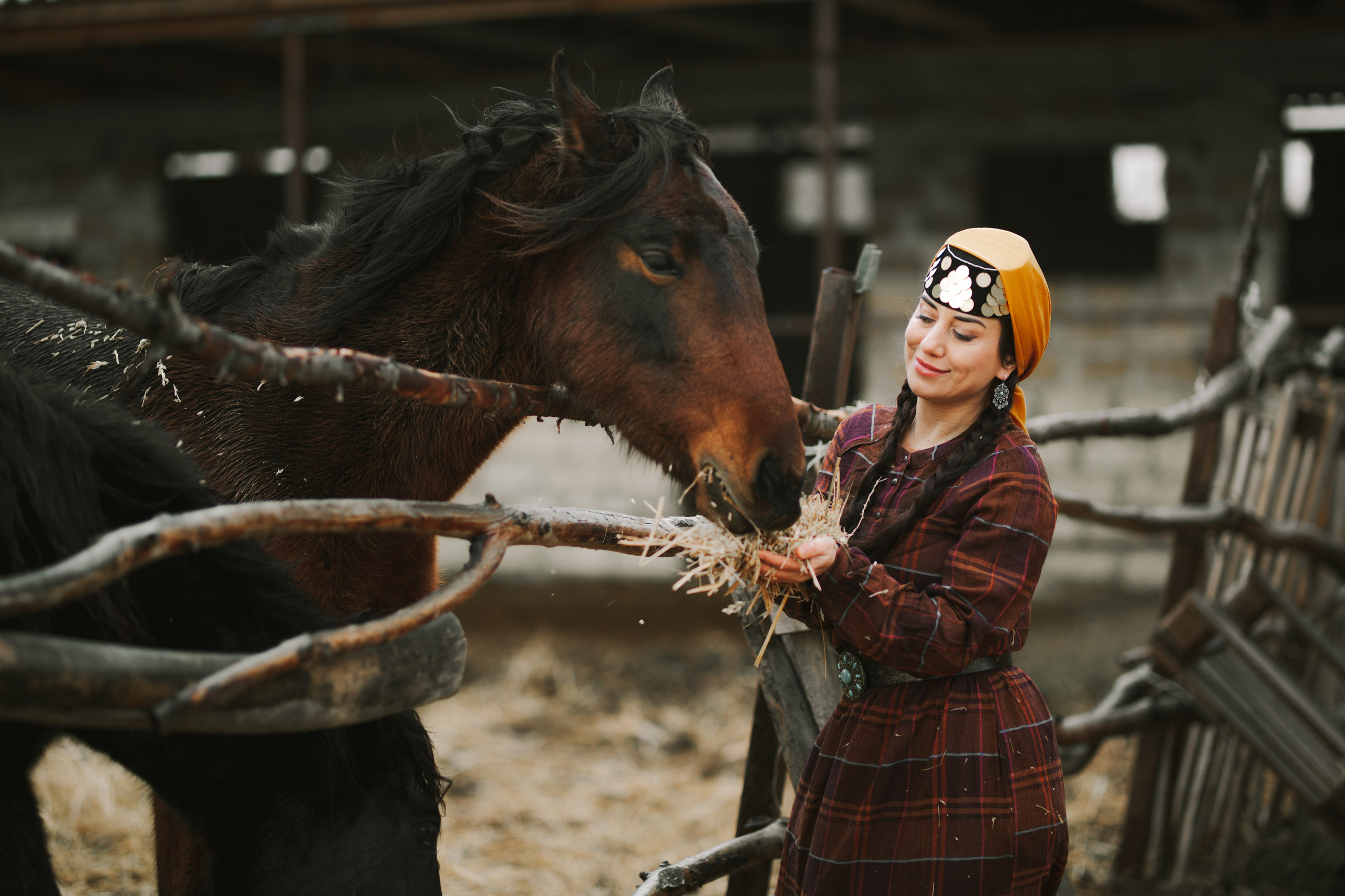 Зенифе. Фотосессия с лошадьми. Фотограф в Крыму