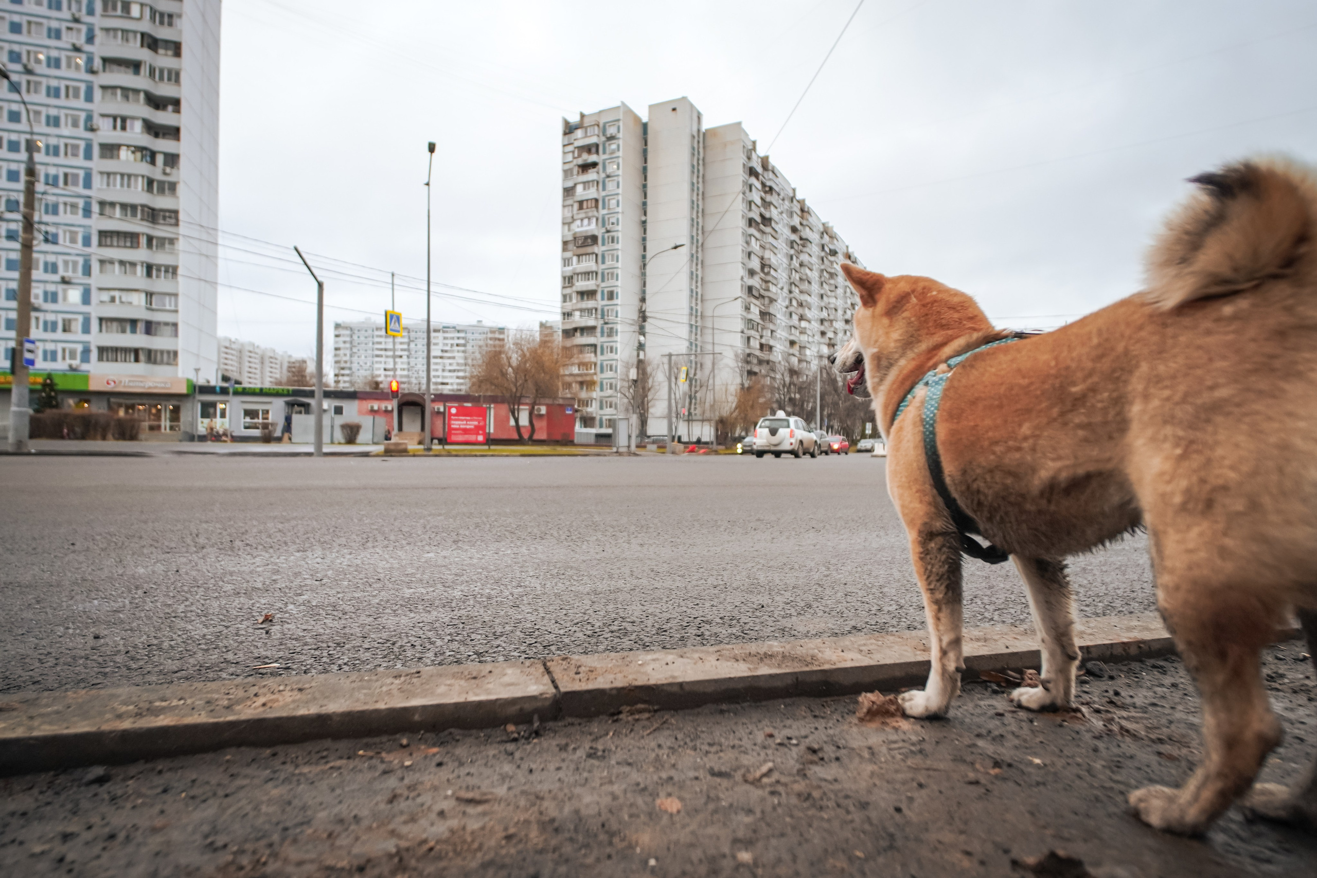 #марафонудома #яuzarun 2024 2-я петля, группа 6:30. Роман Капилюшов. Бег. Фото. Видео. г. Люберцы