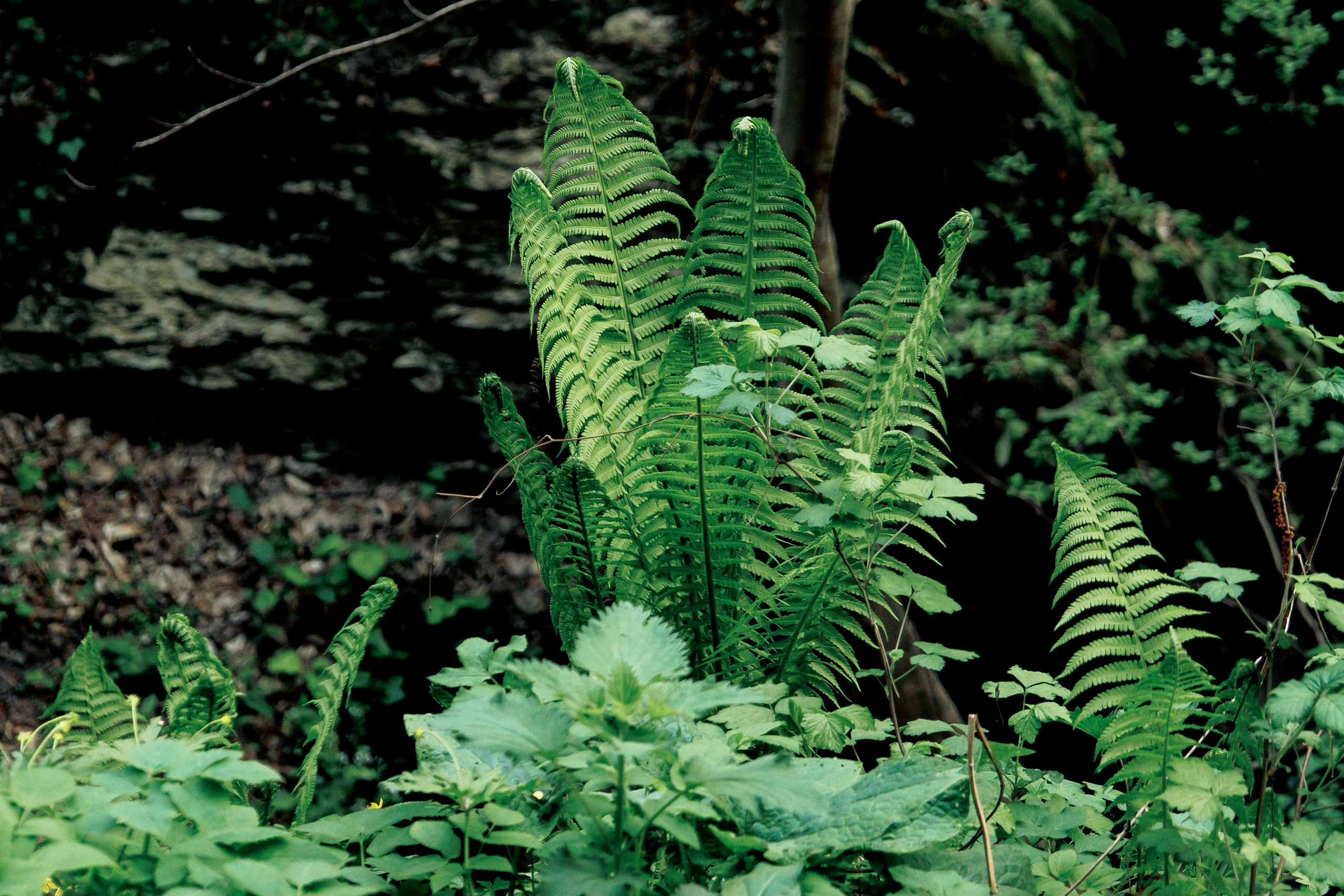 Адыгея. Водопады Руфабго 13.04.24. Фотограф katya_vkadre Таганрог