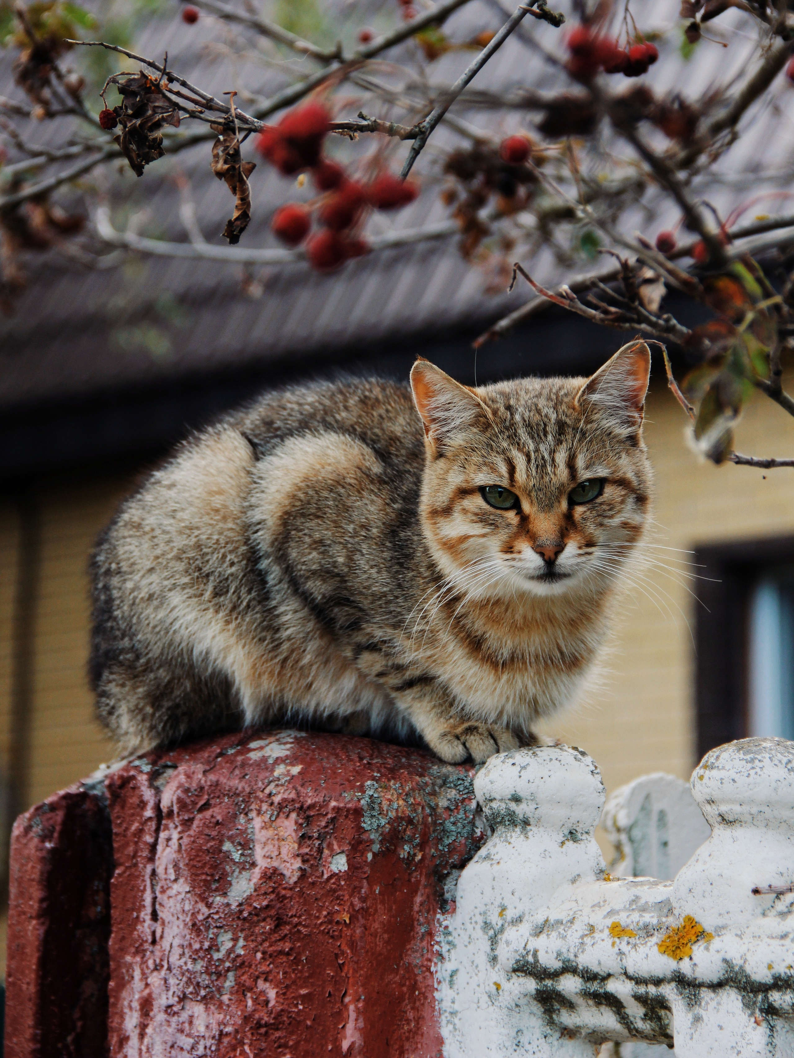 Уличные модели. С любовью, фотохудожник
