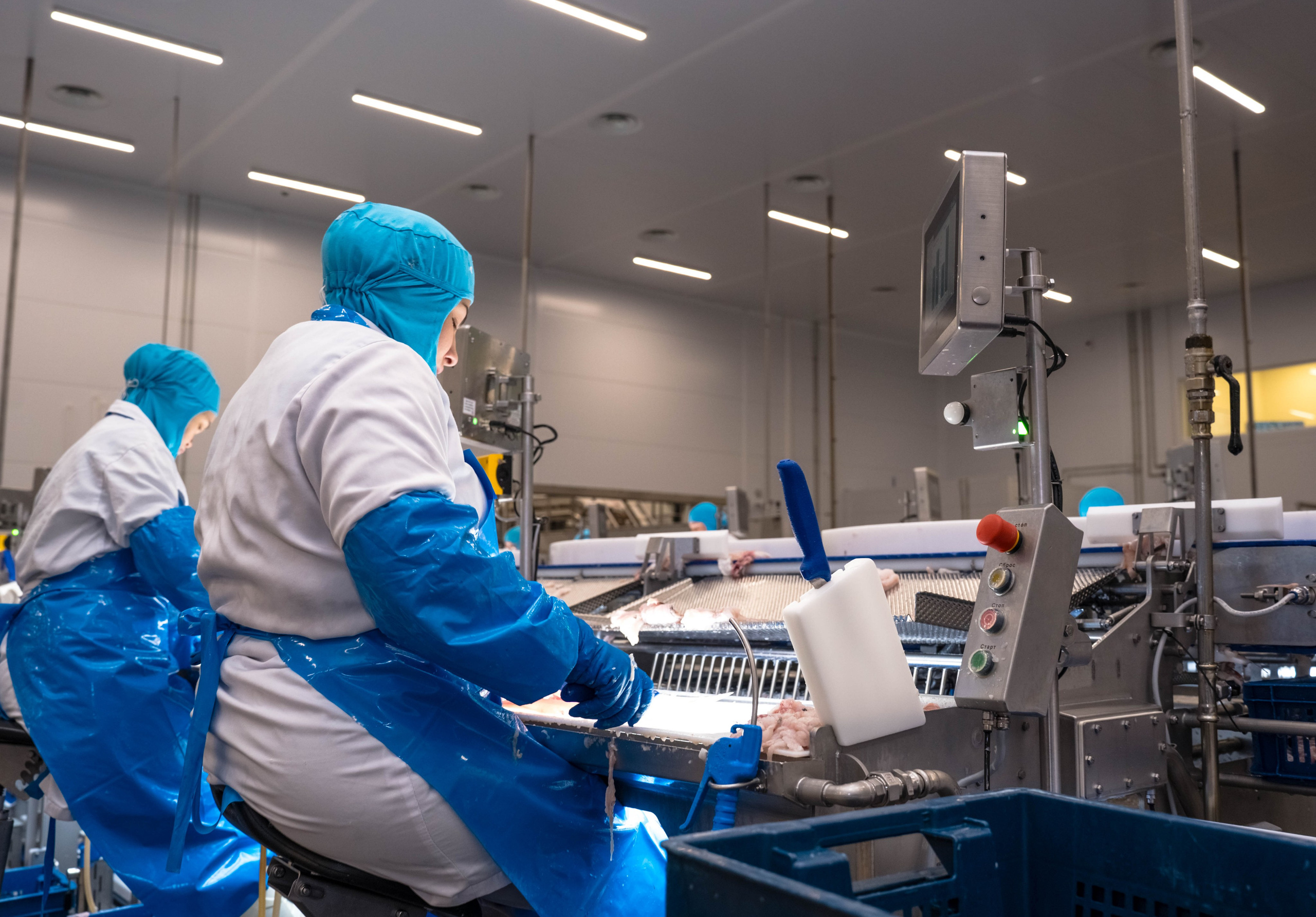 «Росмолодеж» экскурсия. Туманов Кирилл Фото, видео и аэросъемка в Мурманской области