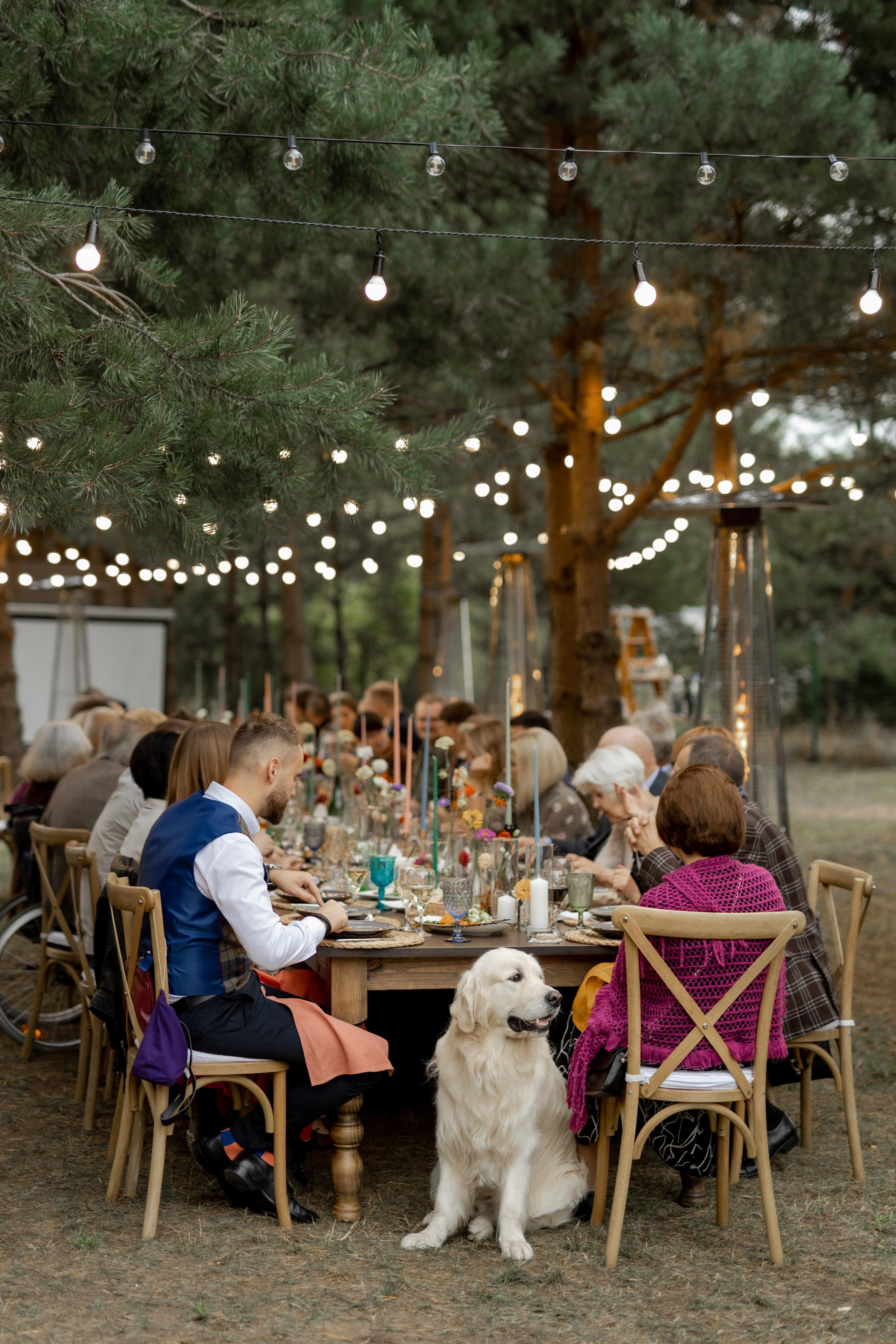 Арсений и Полина. Свадебный фотограф в Минске, свадебный фотограф в Грузии, свадебный фо
